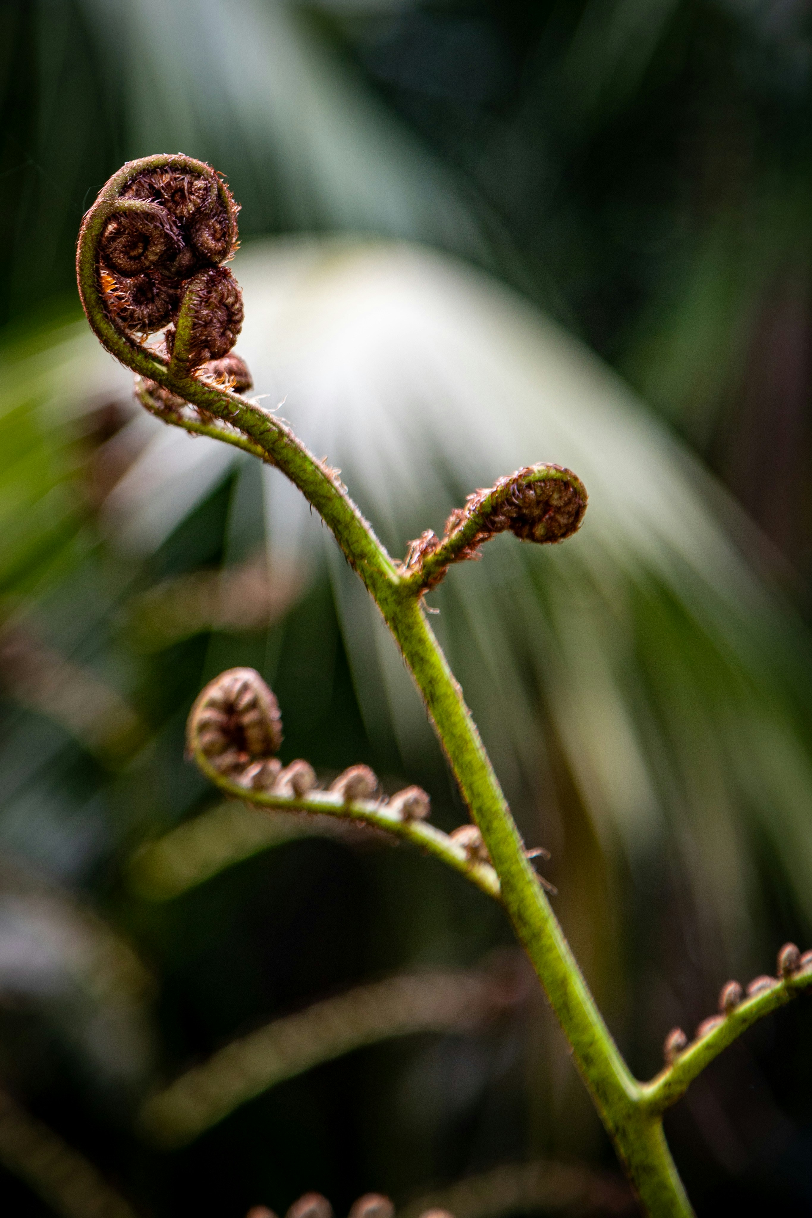 Photo by hdbernd