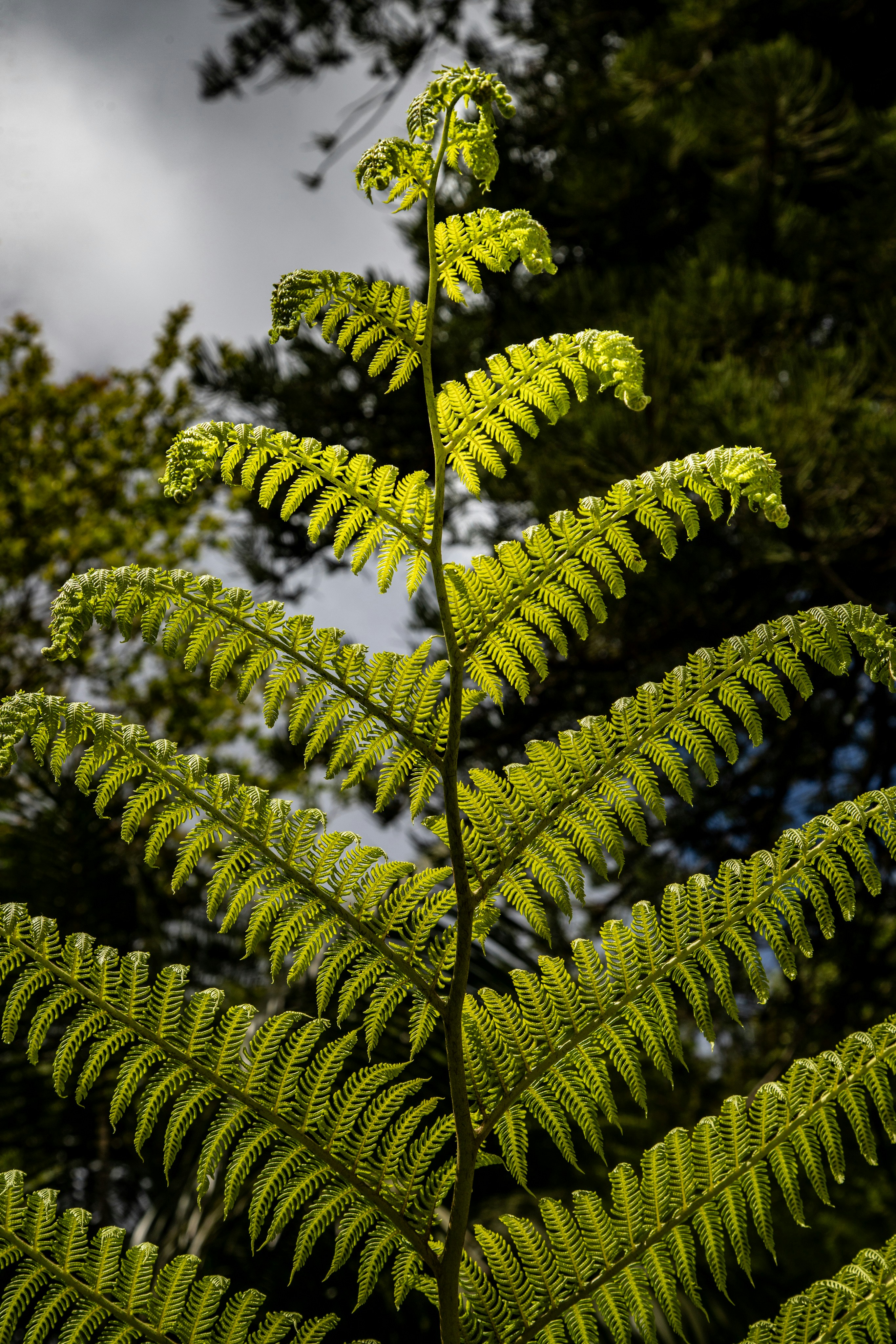 Photo by hdbernd