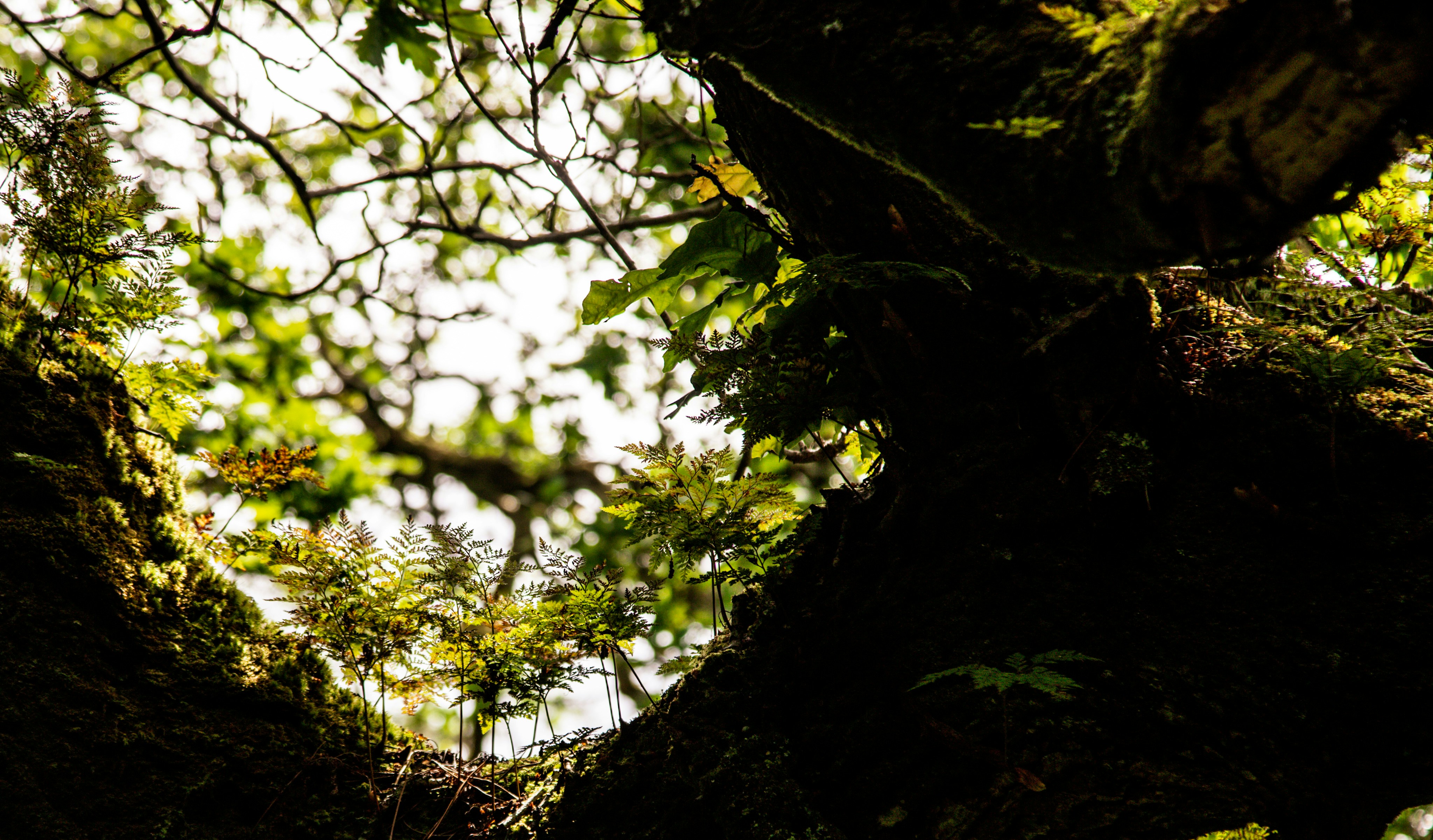 Photo by hdbernd