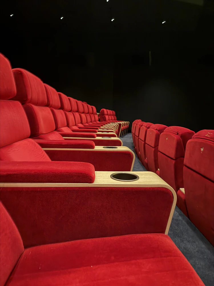 Luxury Cinema Hall