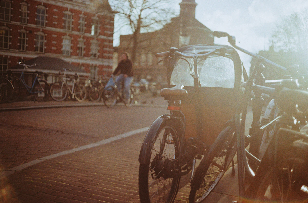 Bicycles parked along a brick Amsterdam street in warm late-afternoon light