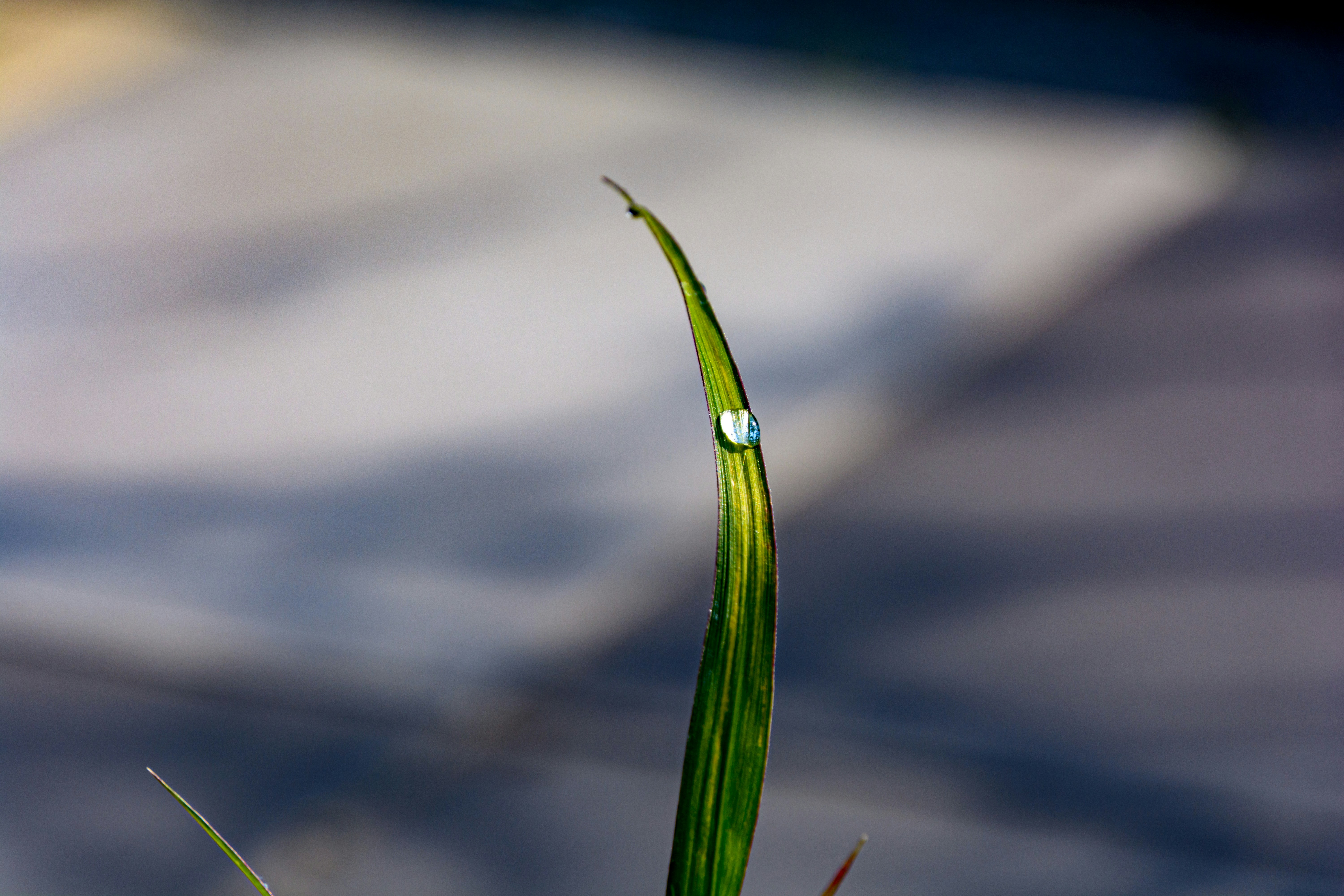 Photo by skstrannik