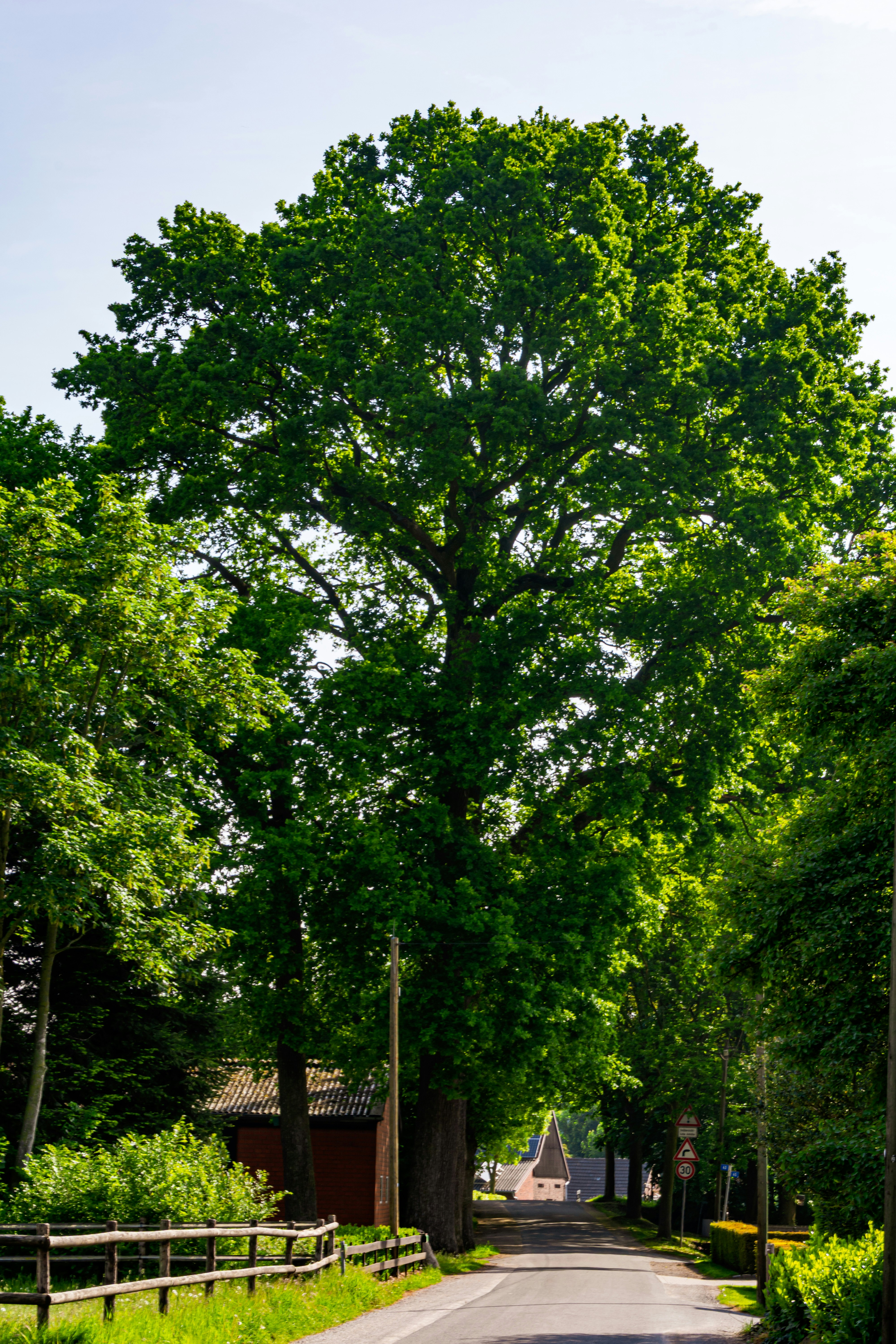 Photo by skstrannik