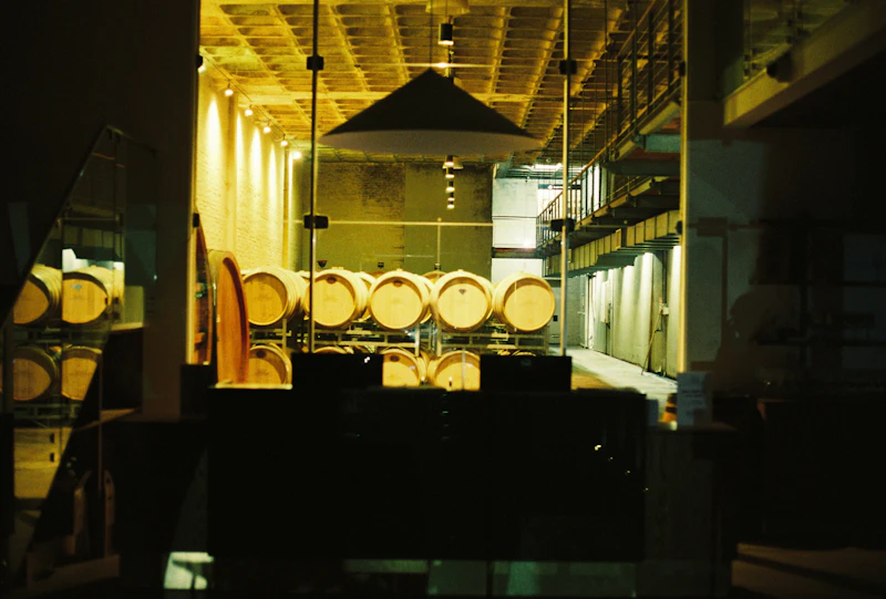 Rangée de fûts de chêne en cave pour Gevrey-Chambertin