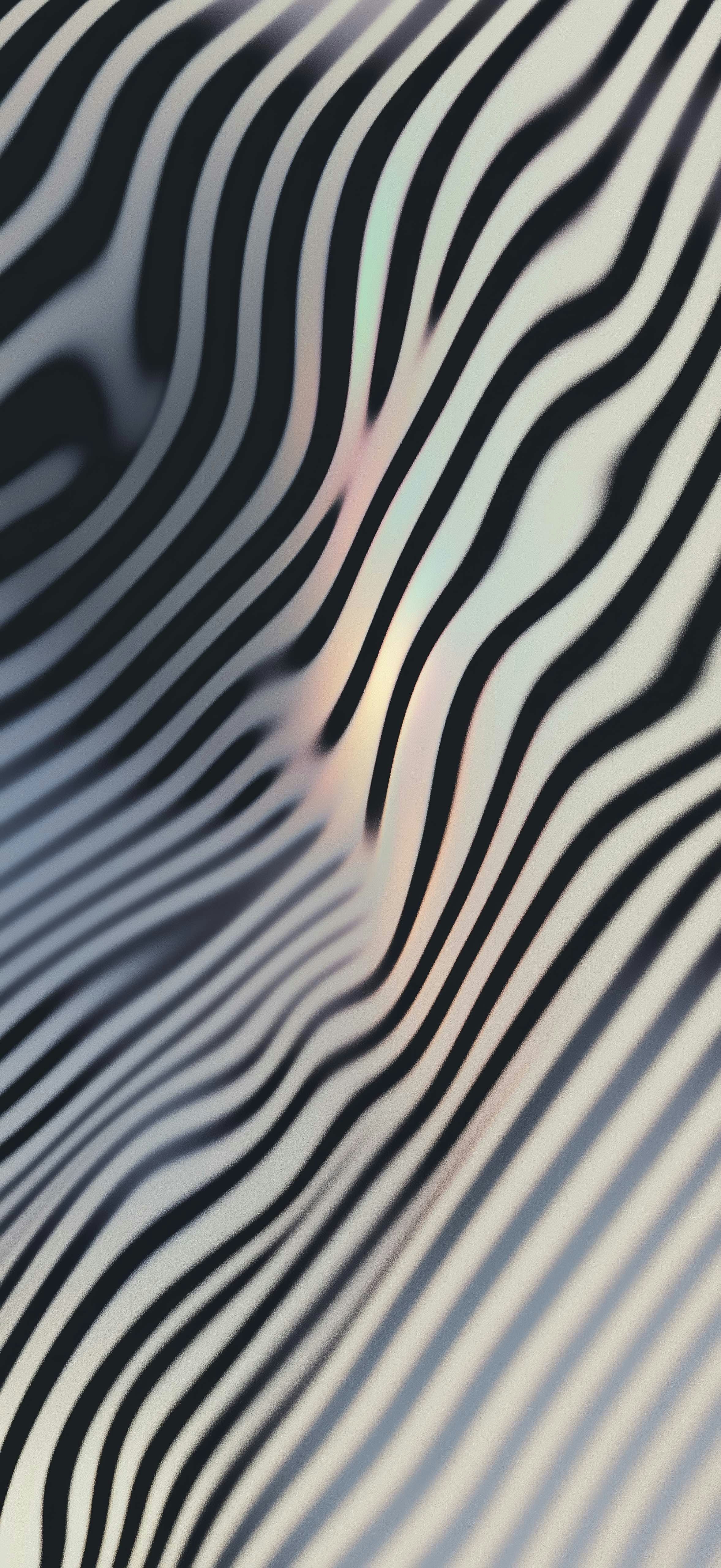 Abstract pattern of black wavy lines with holographic sheen