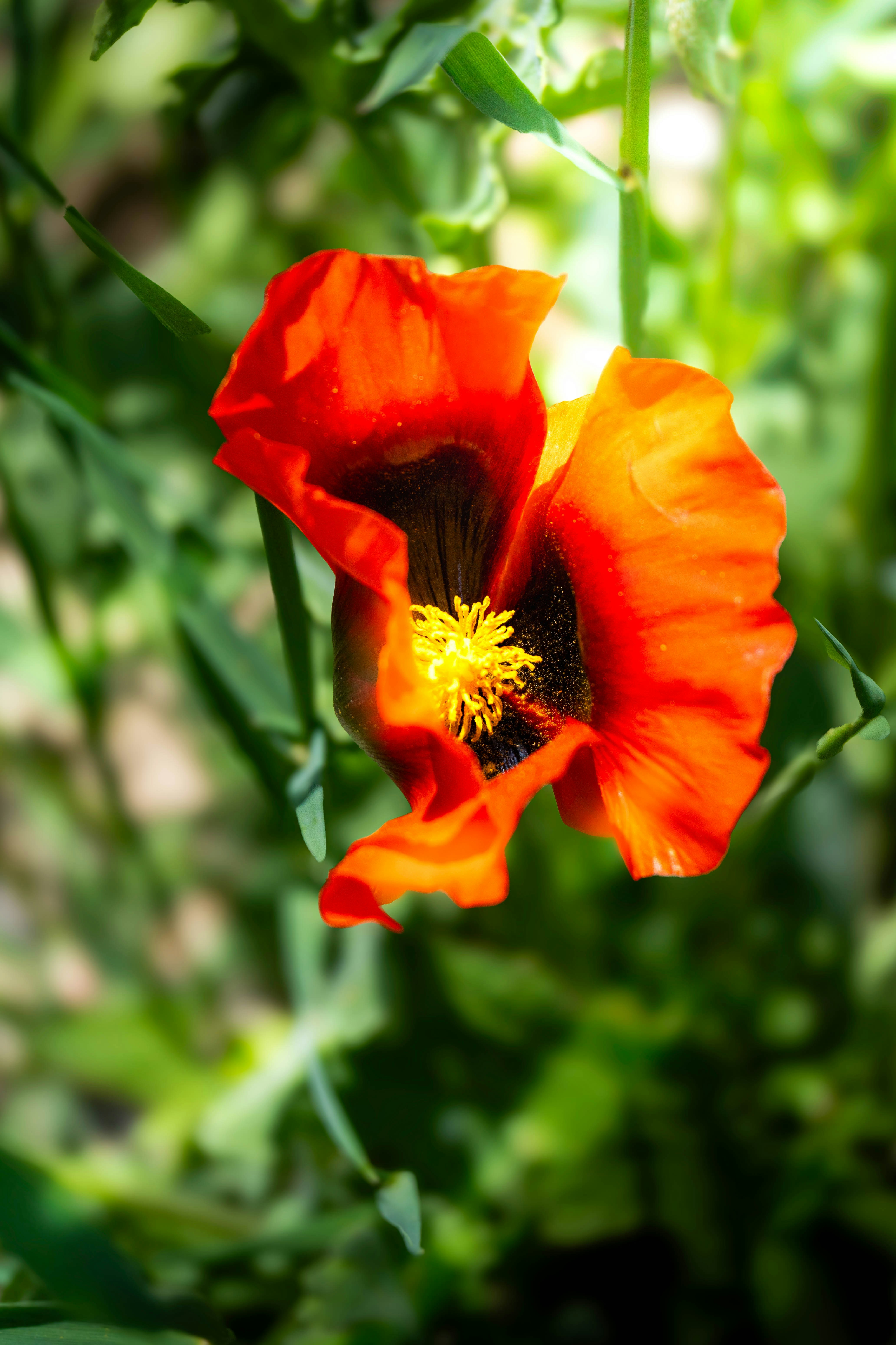 Photo by maviatlas