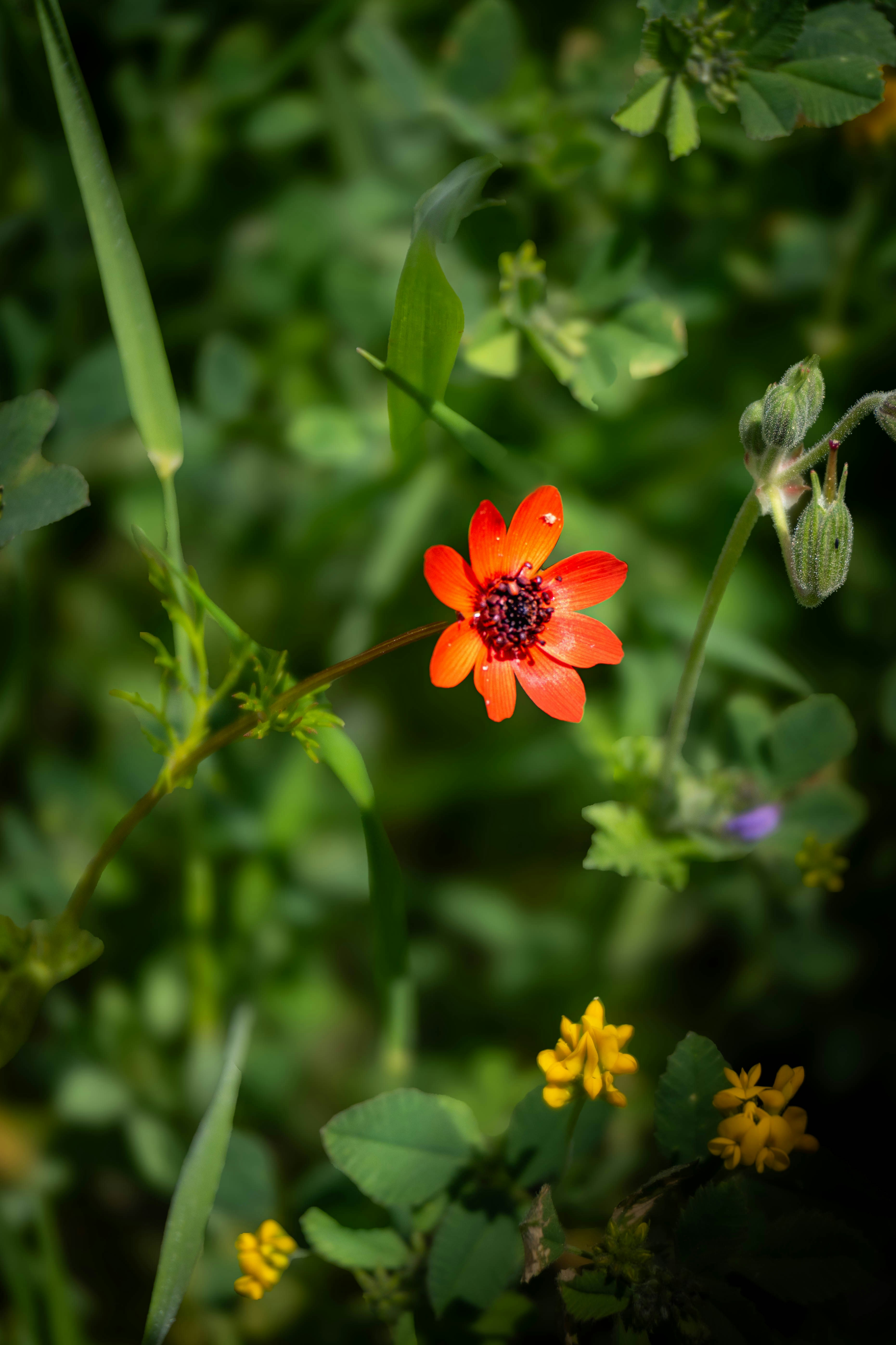 Photo by maviatlas