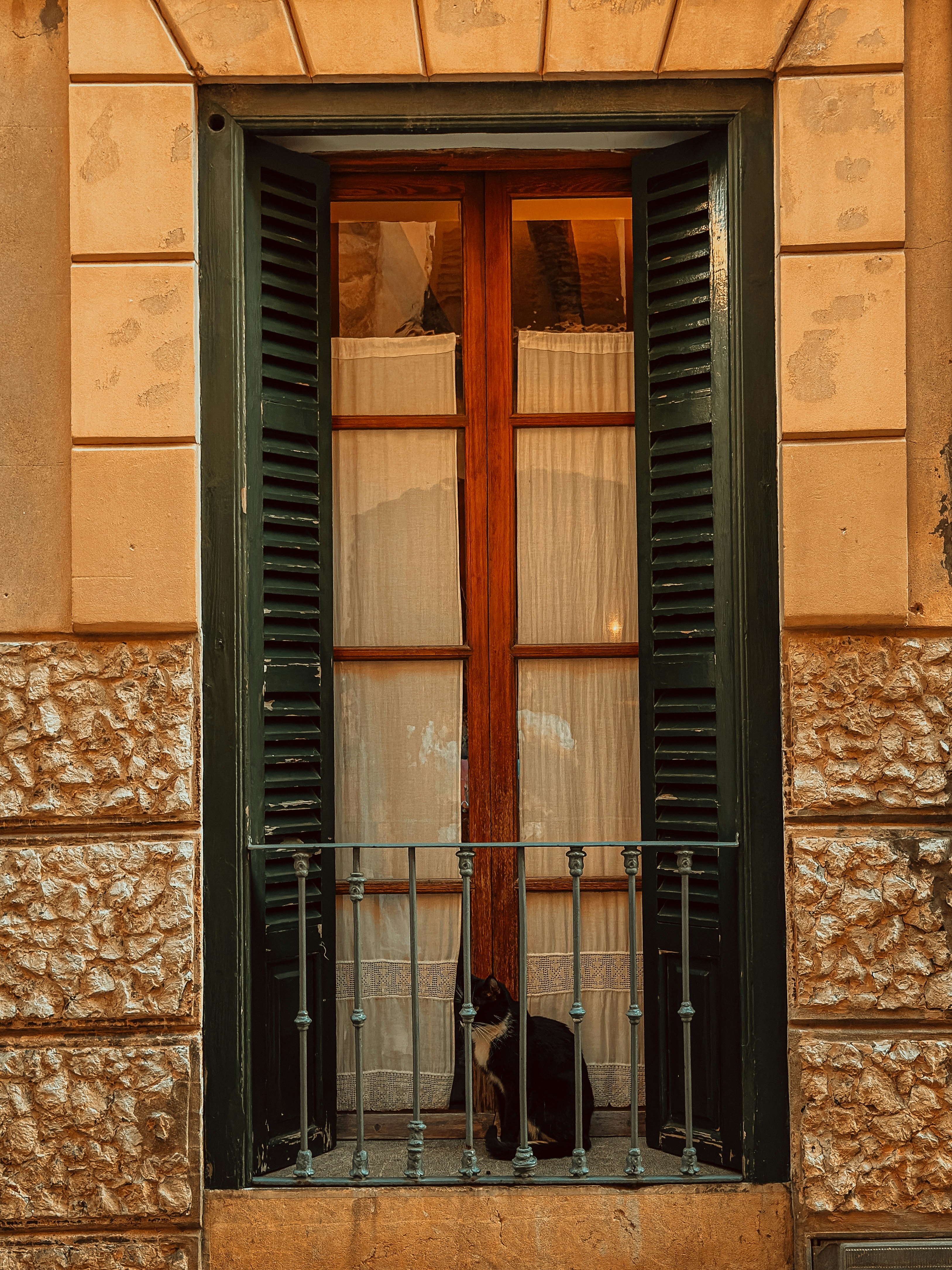 A cat sits on a small balcony outside a window.