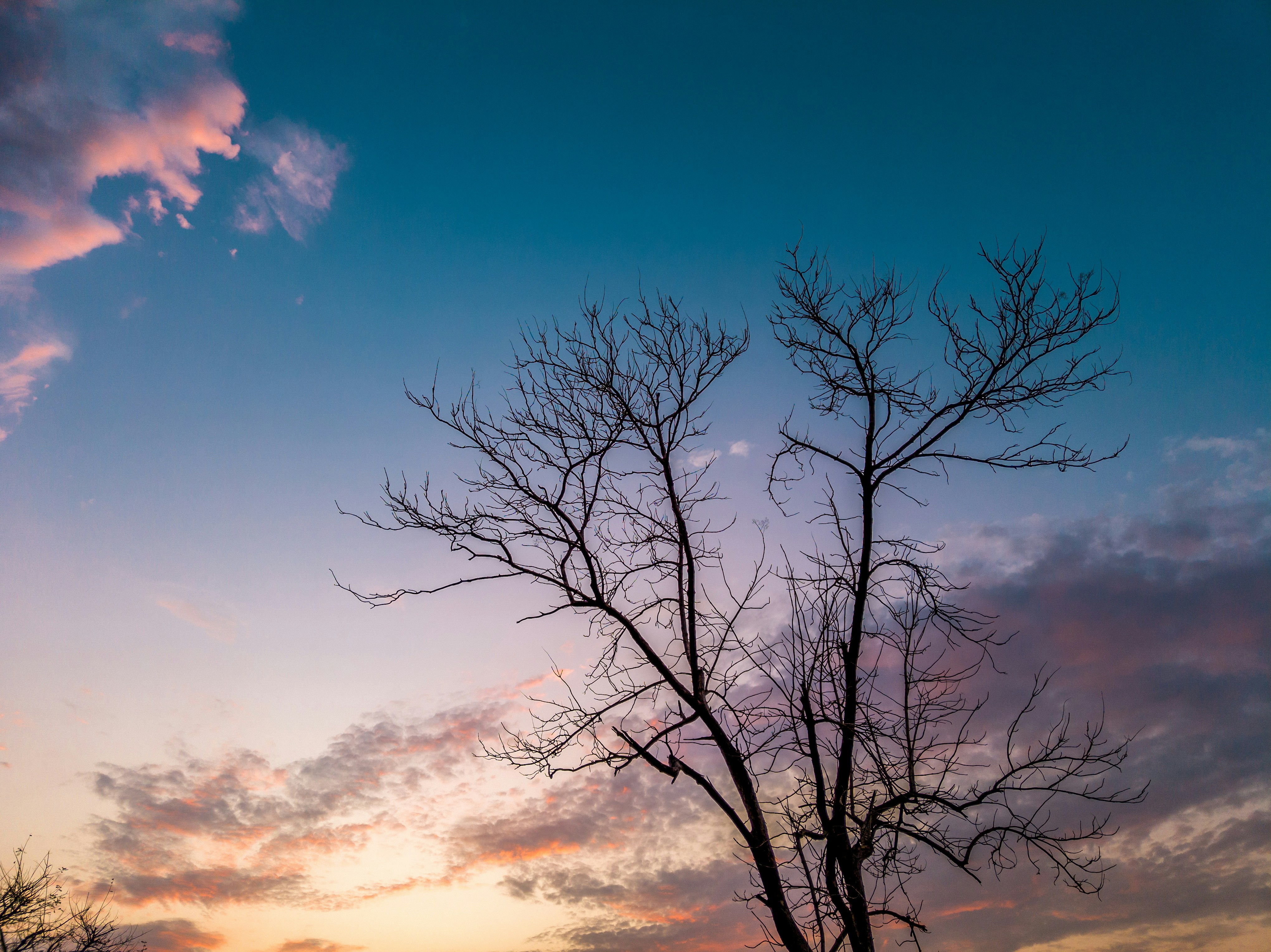 Photo by dipanshubhandekar