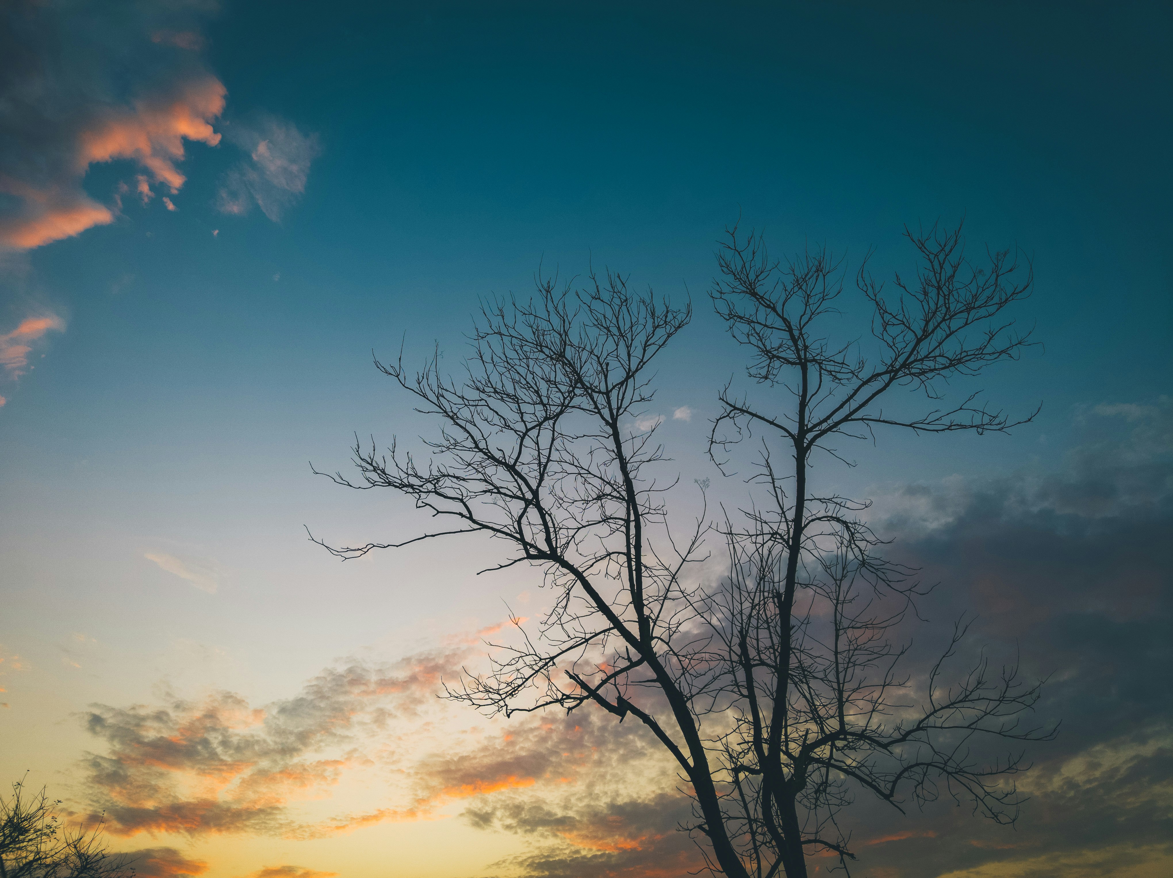 Photo by dipanshubhandekar