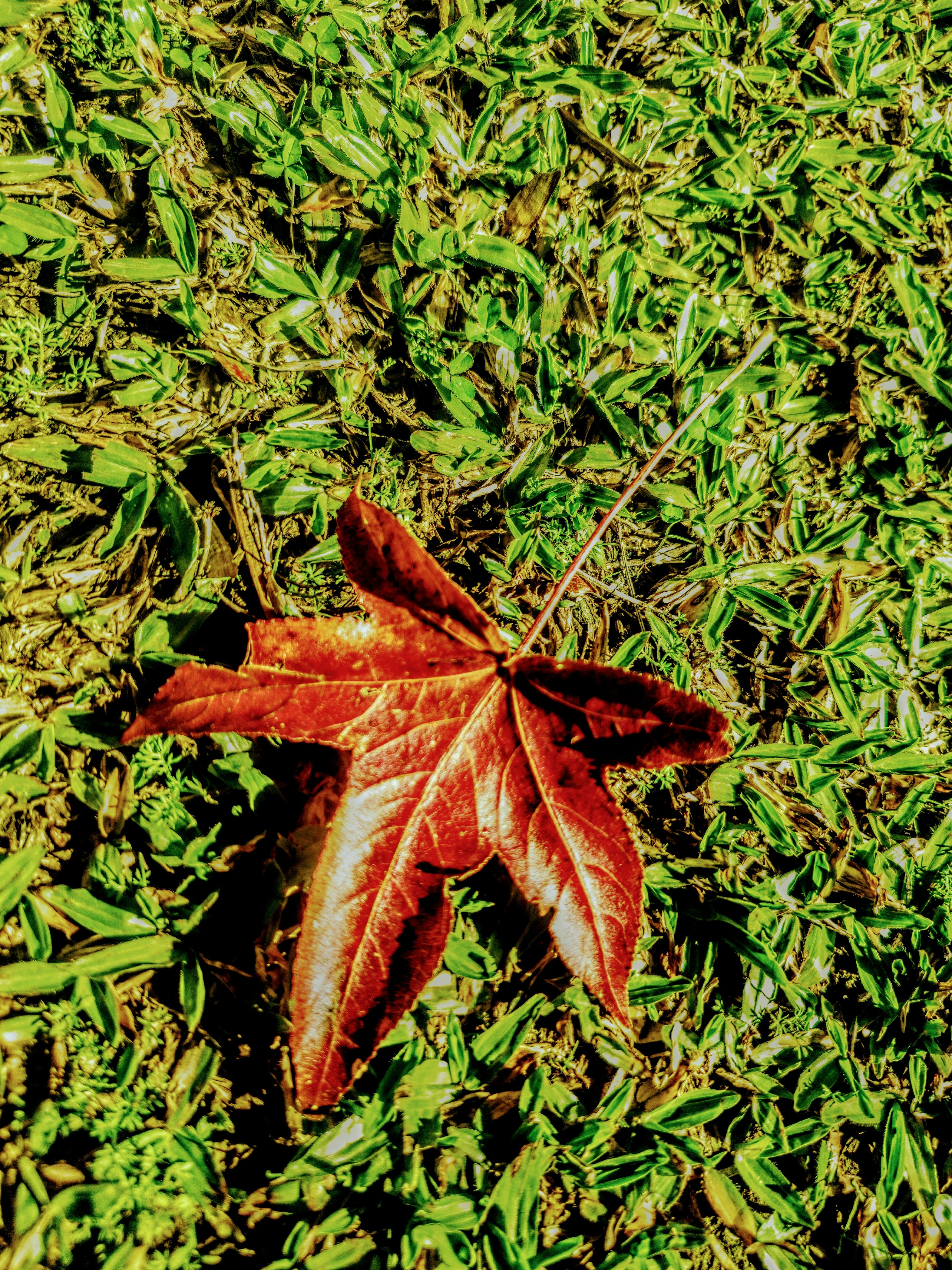 Photo by clessios