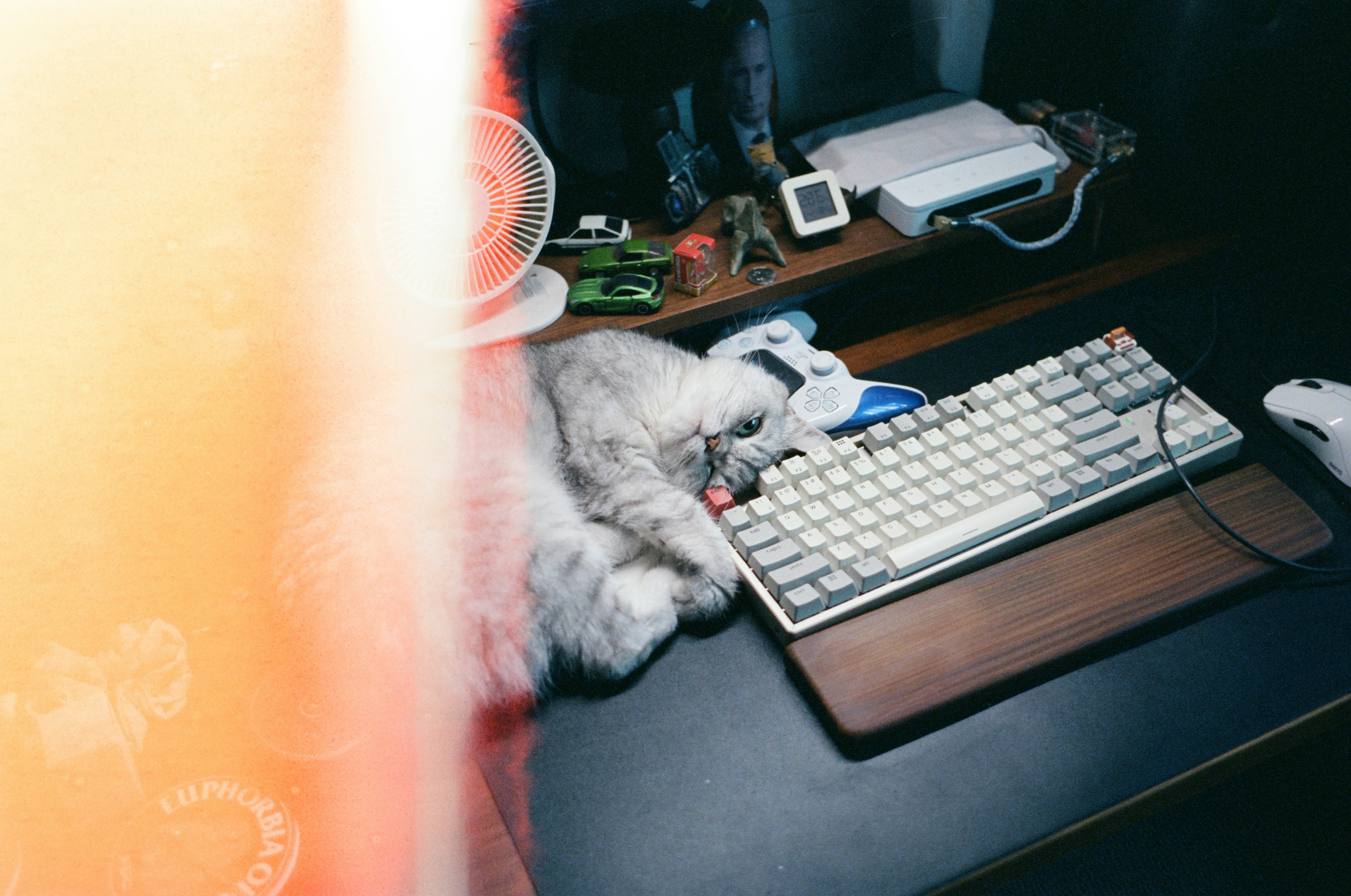A cat sleeping on a desk next to a keyboard.