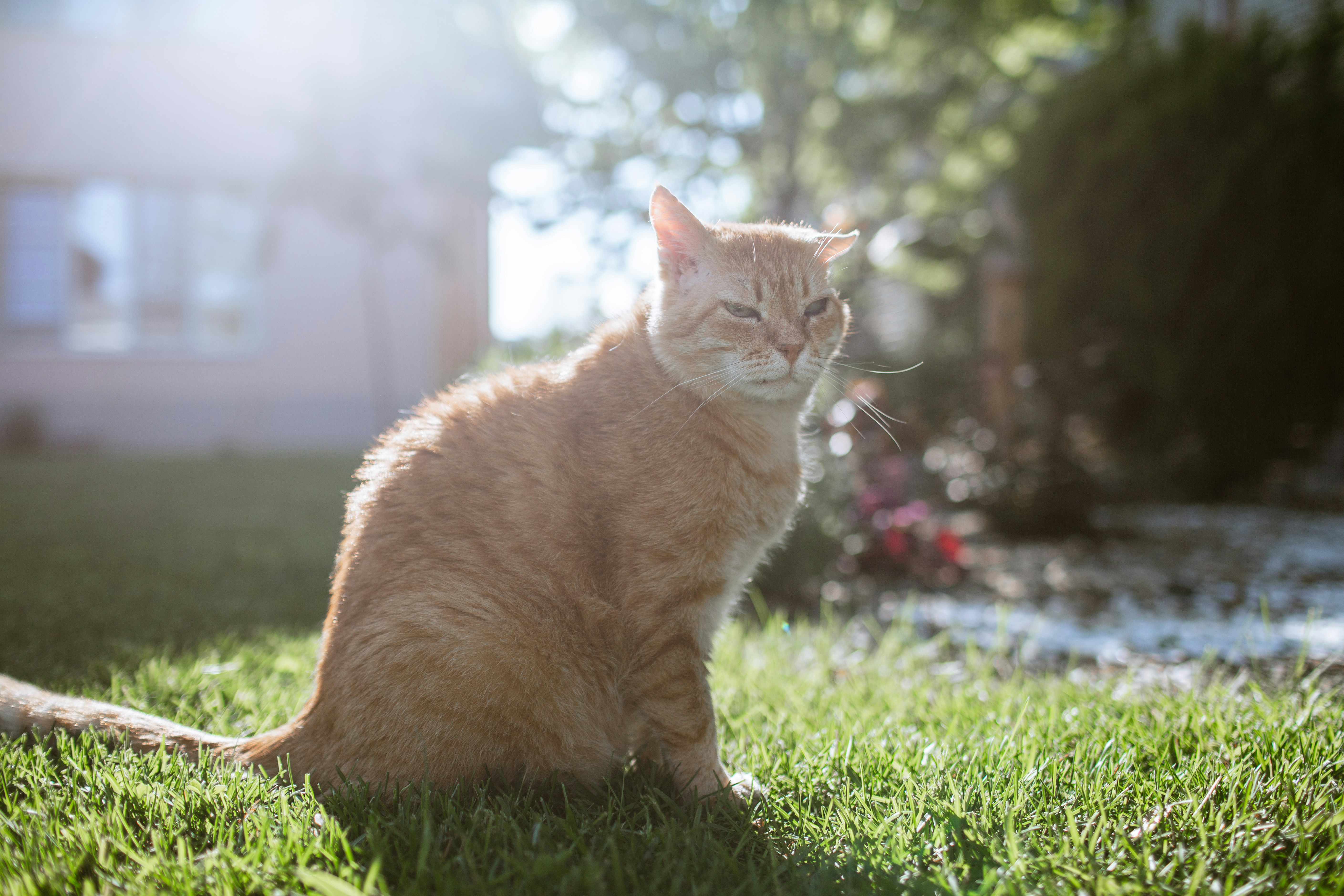 Photo by lisoglazka