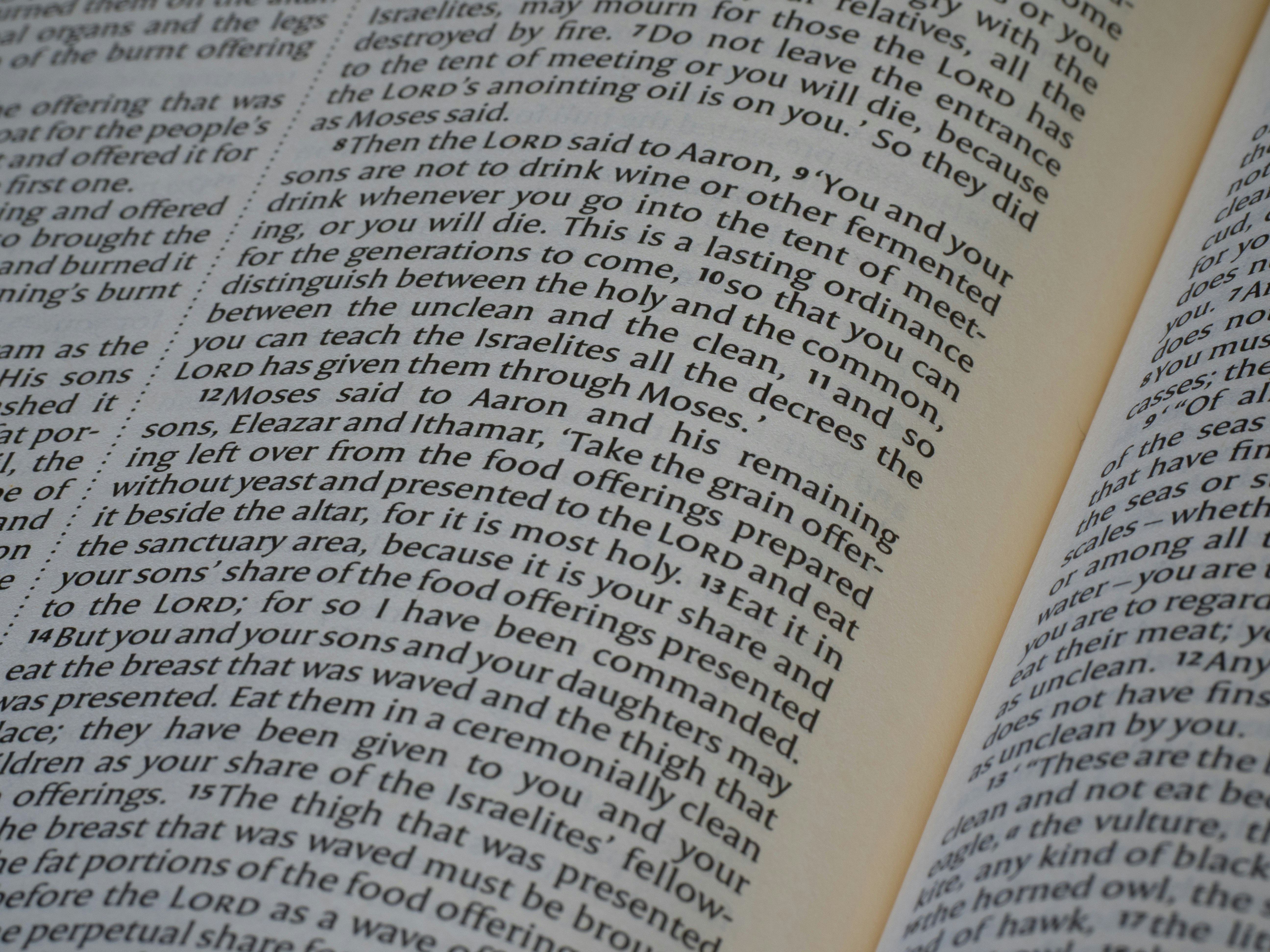 Pagine di un libro aperto con testo stampato.