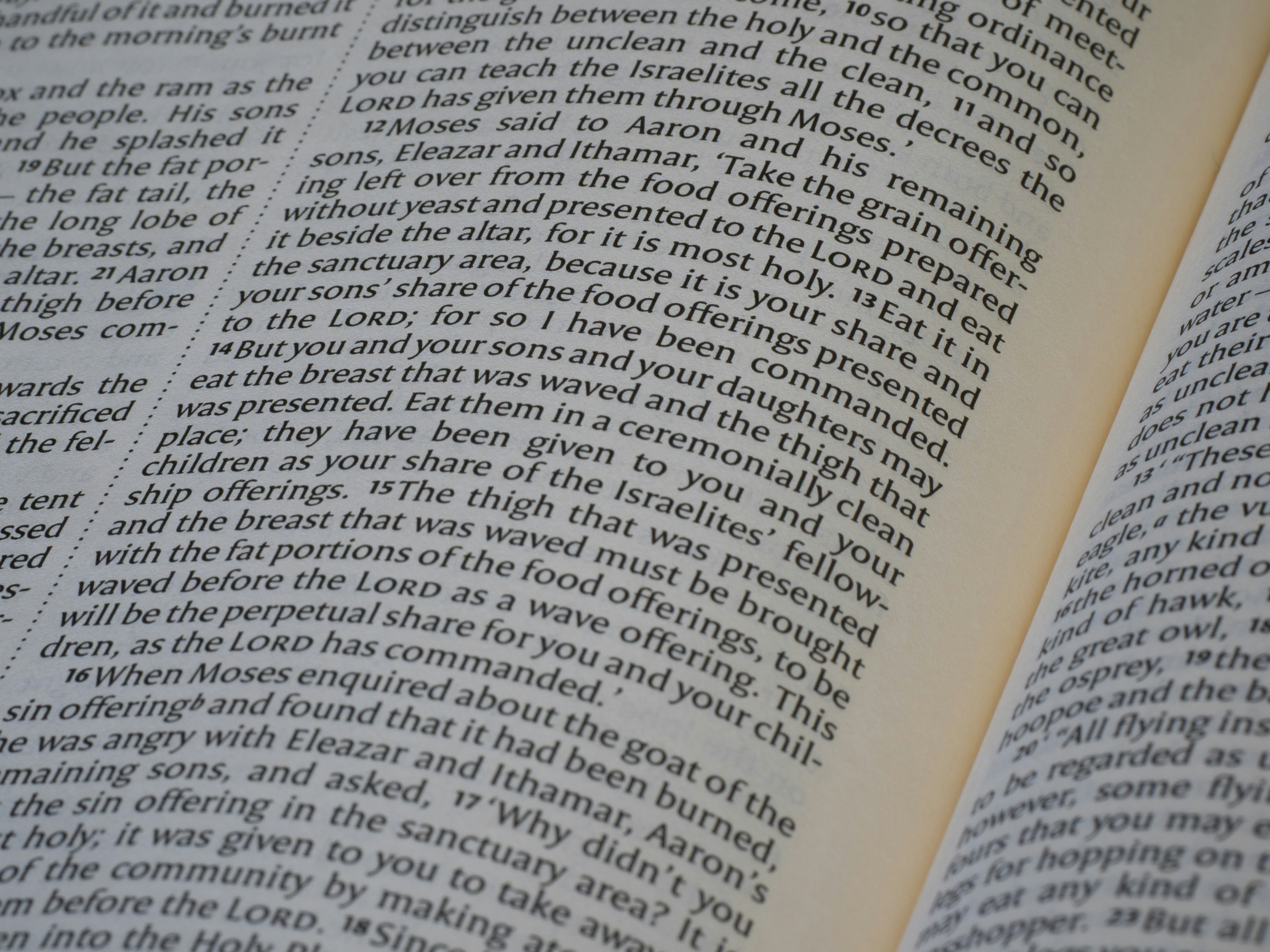 Apri le pagine della Bibbia con testi religiosi e scritture.