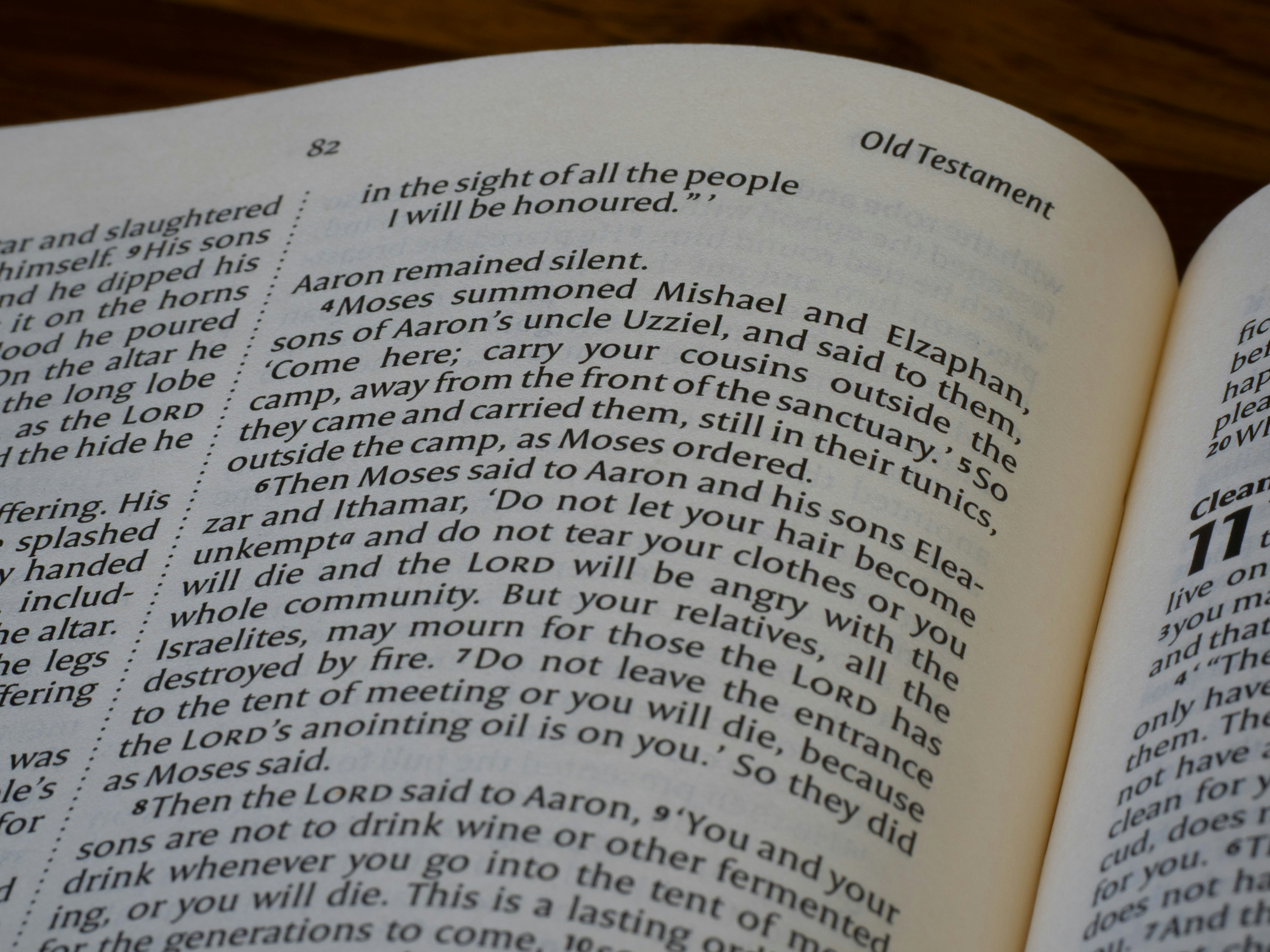 Apri la Bibbia che mostra testi dell'Antico Testamento.