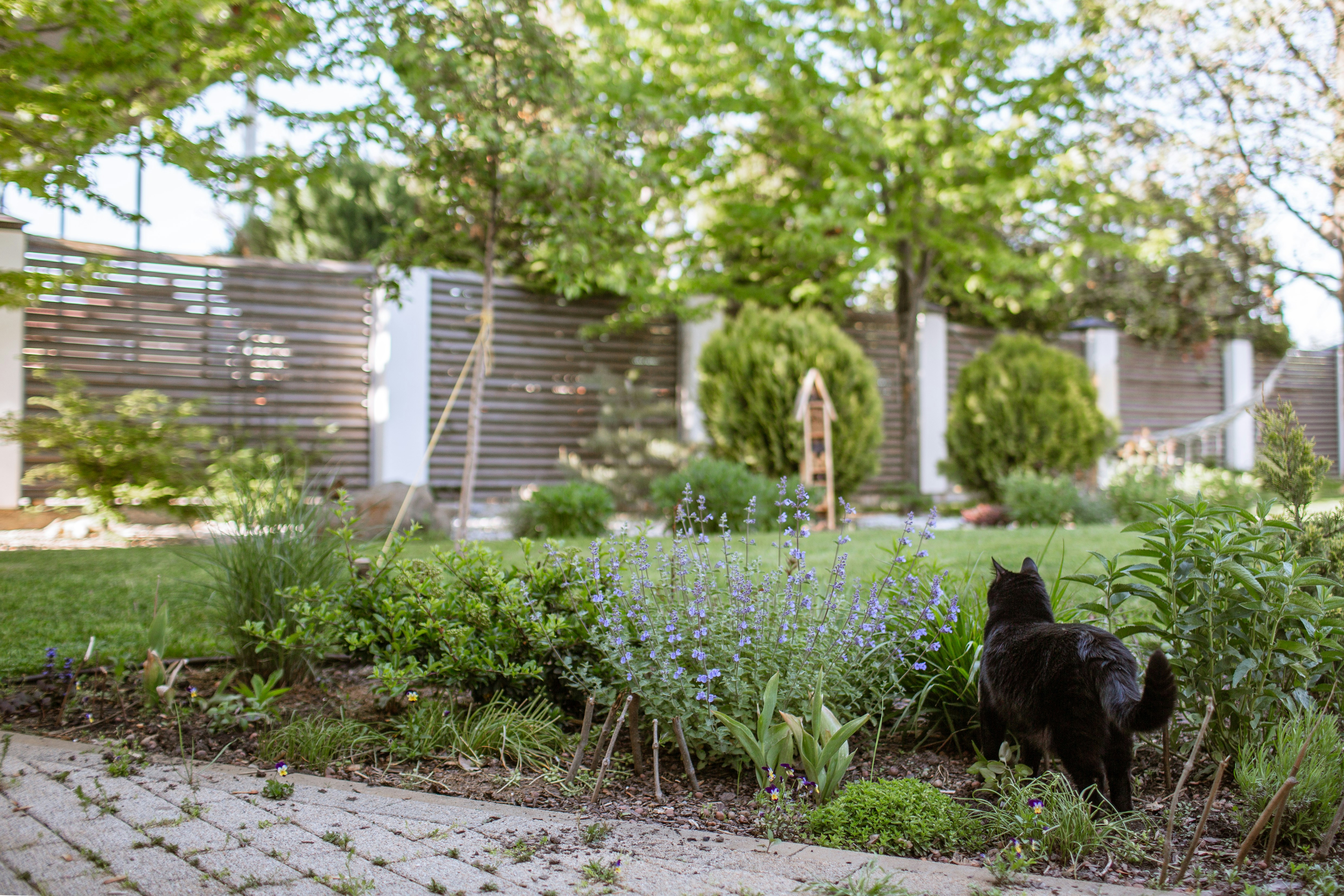 Deja de intentar ser perfecto: la forma real de practicar la jardinería ecológica