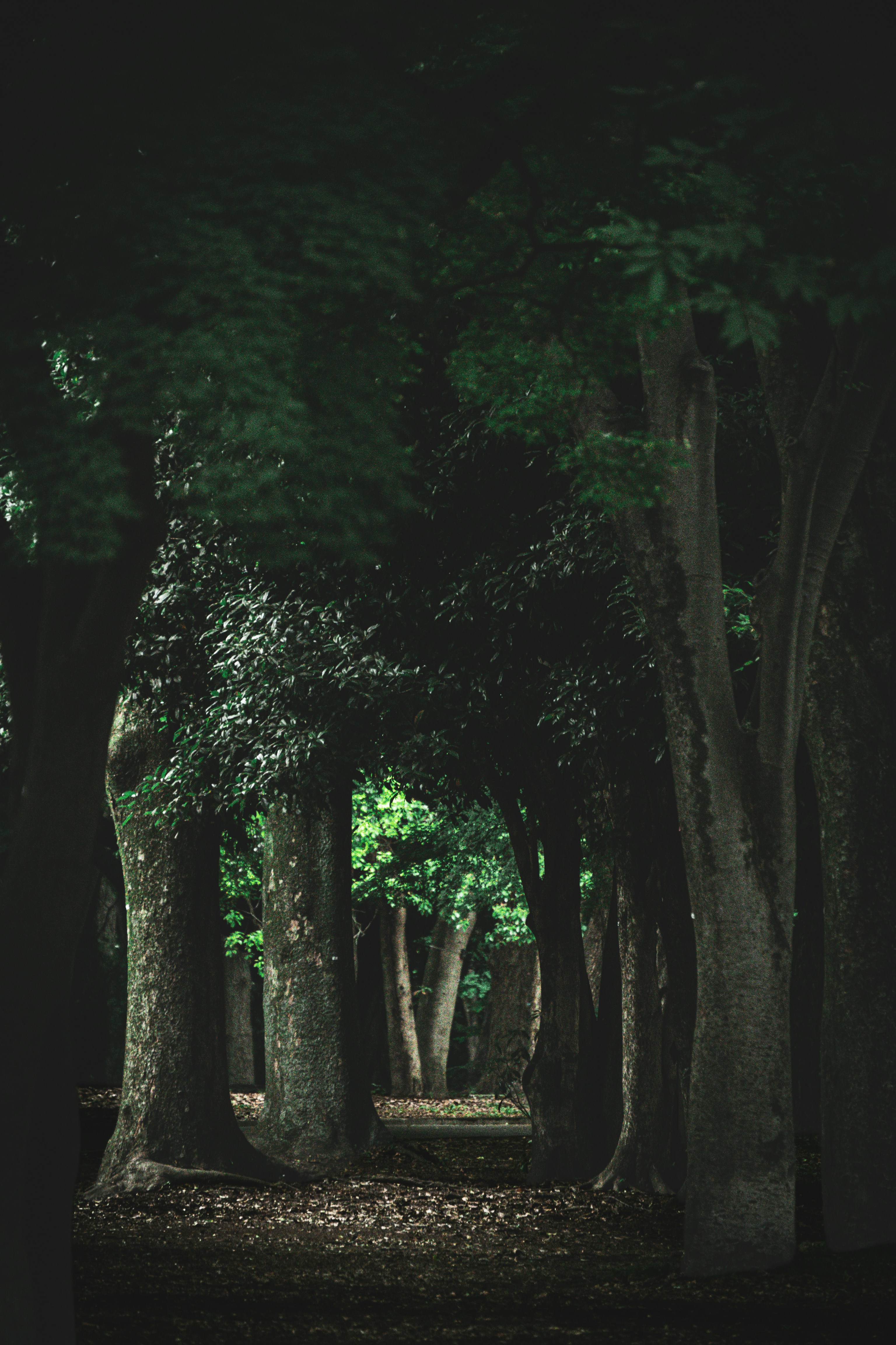 Photo by habobo