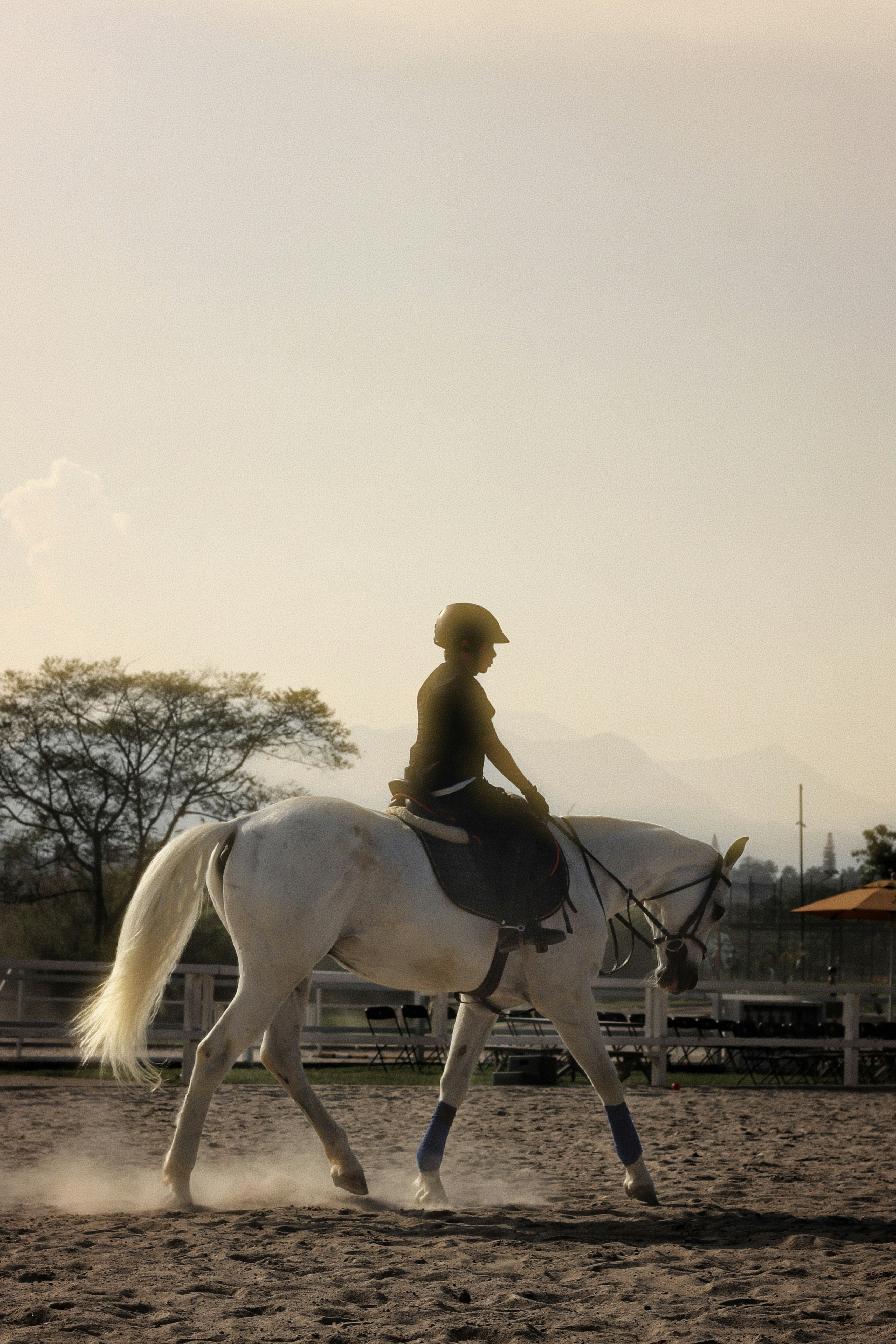 Photo by montalv00