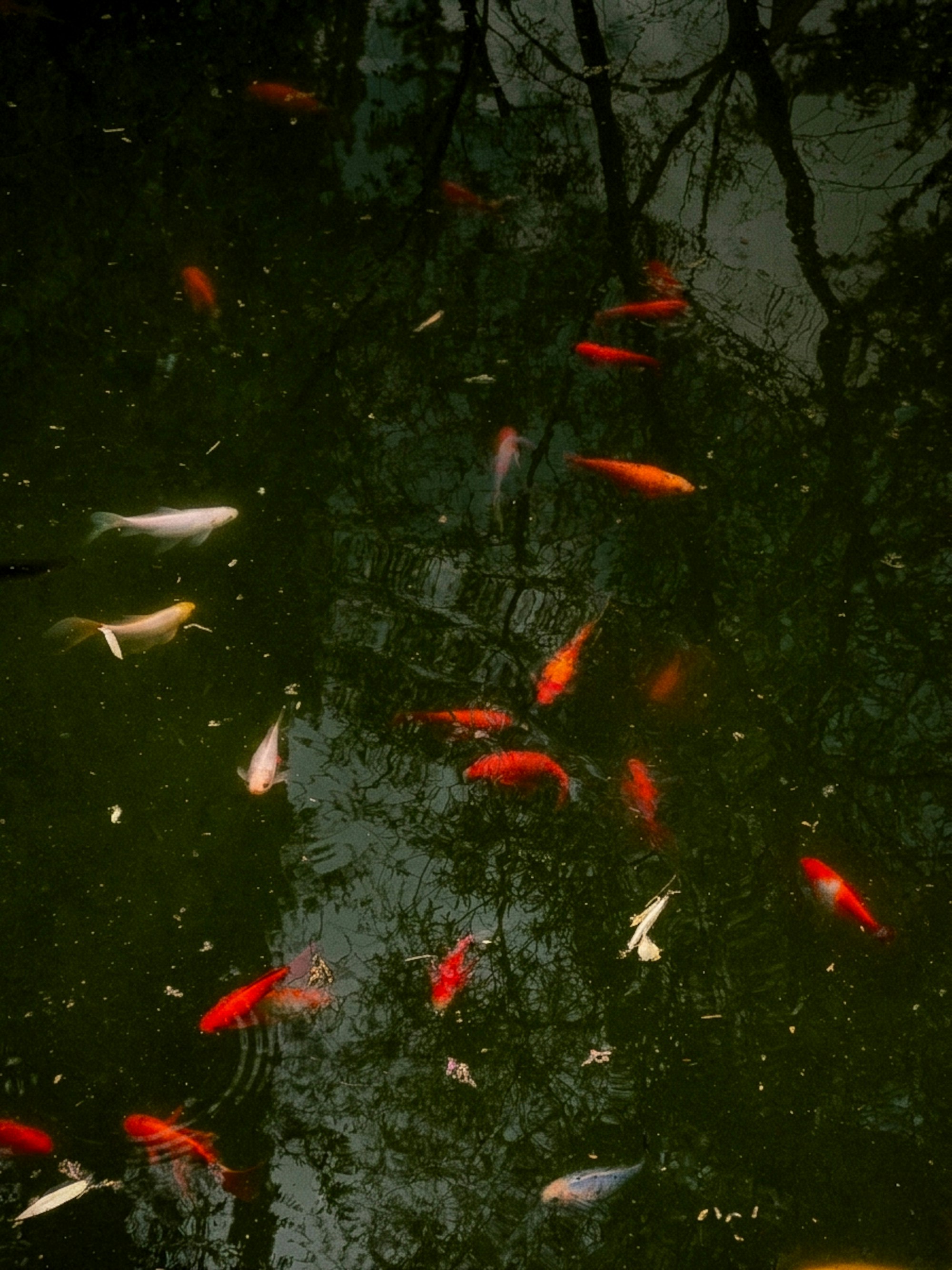 Photo by aggelosvam