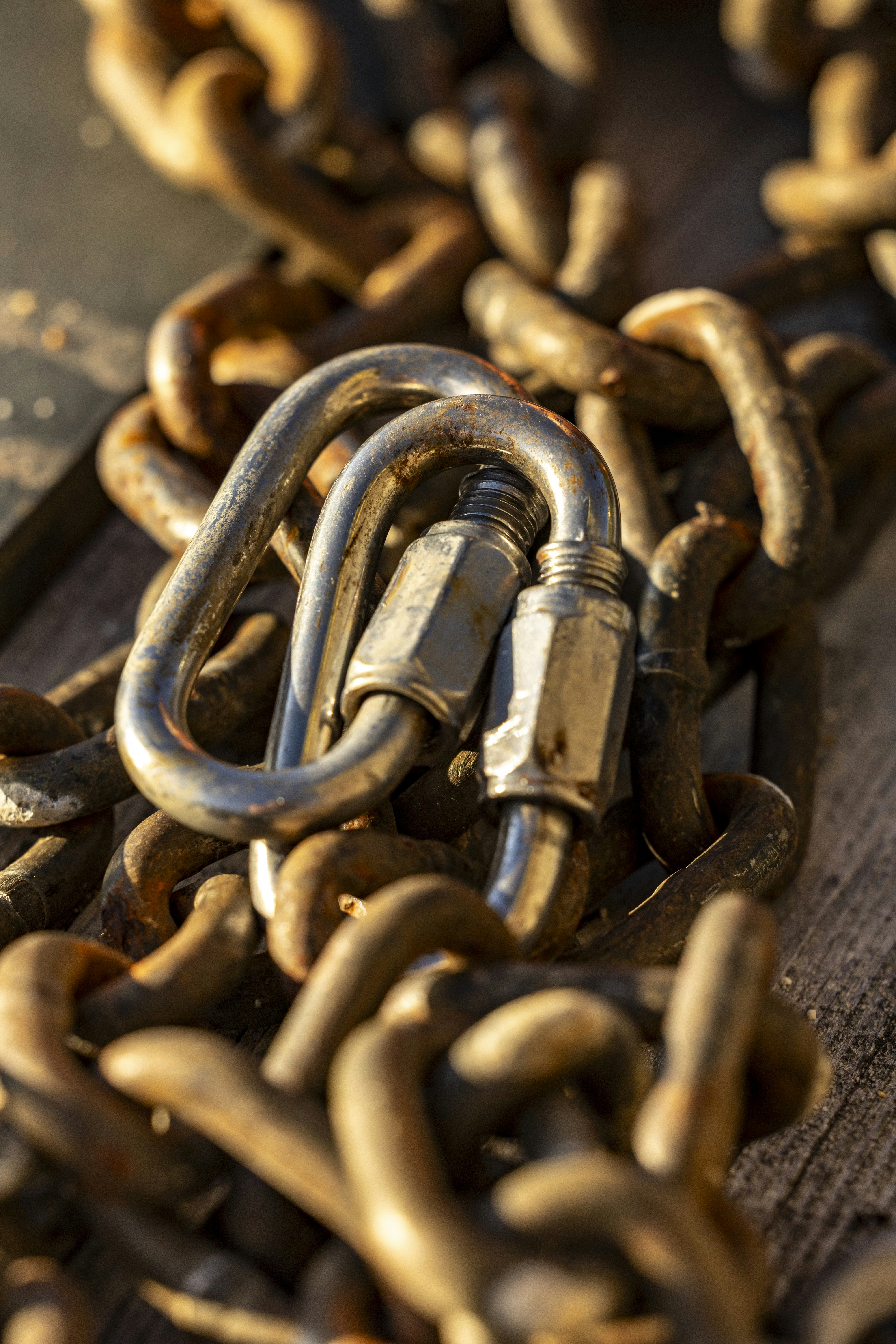 Close-up of a metal carabiner attached to a rusty chain