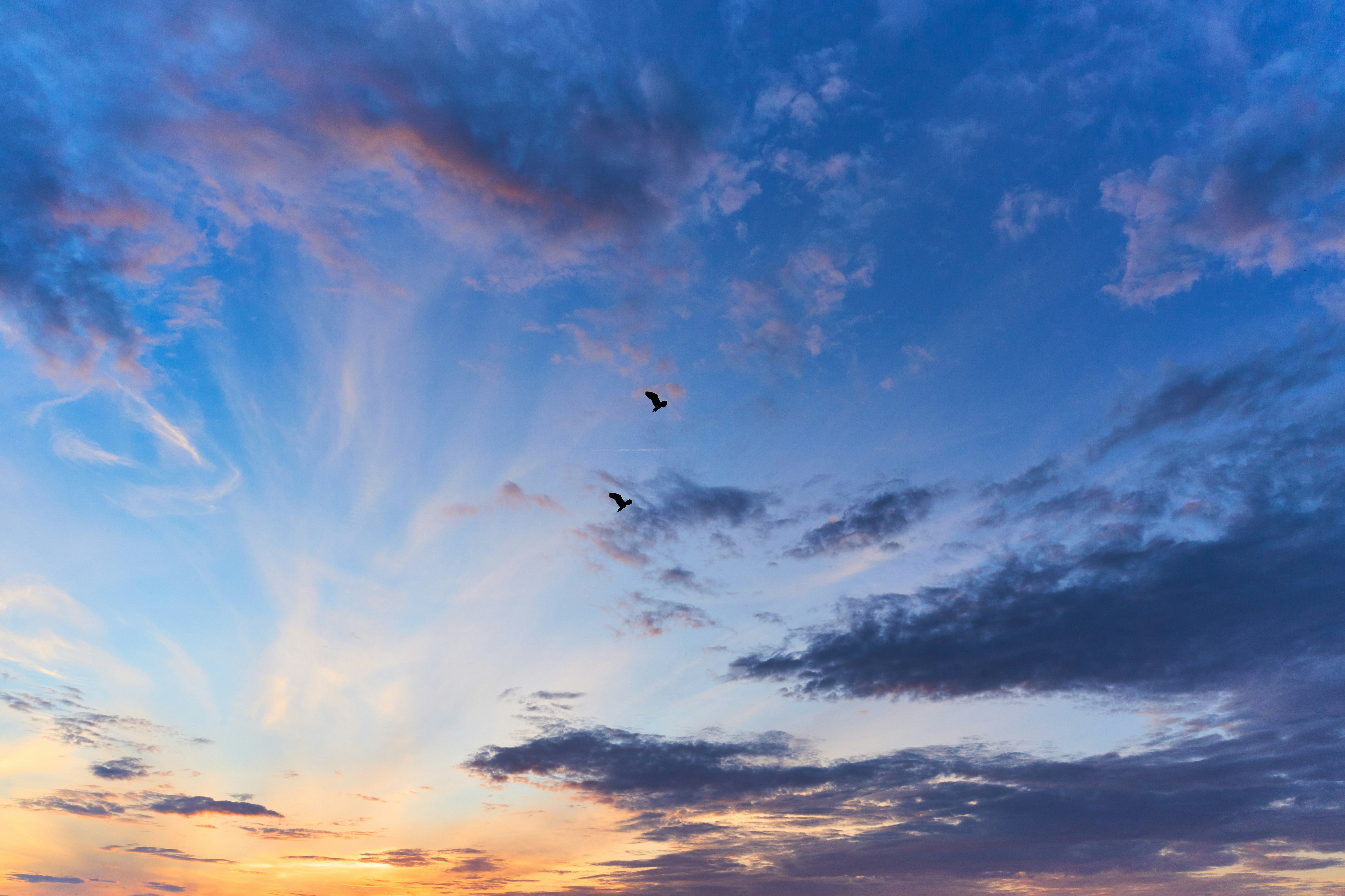 Céu colorido ao pôr do sol com nuvens e dois pássaros voando.