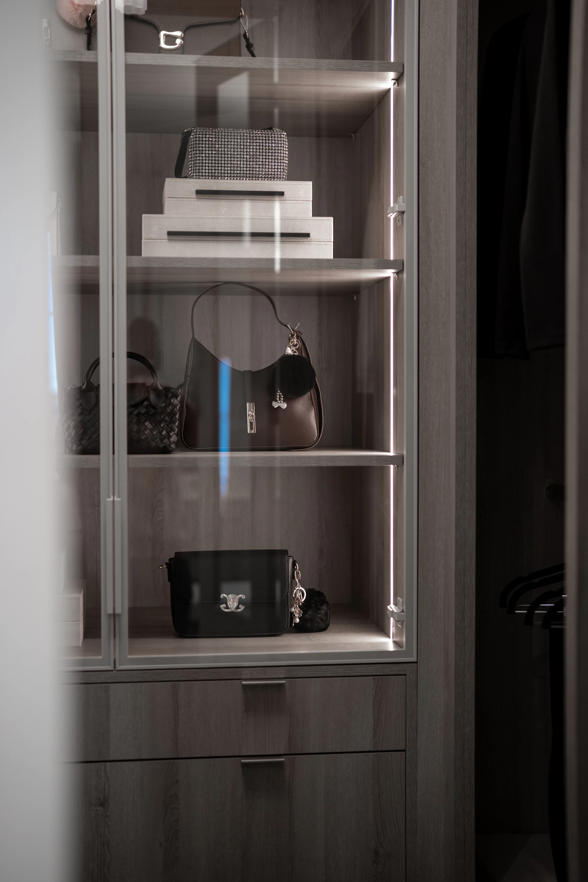 Luxury closet with designer handbags displayed on illuminated shelving