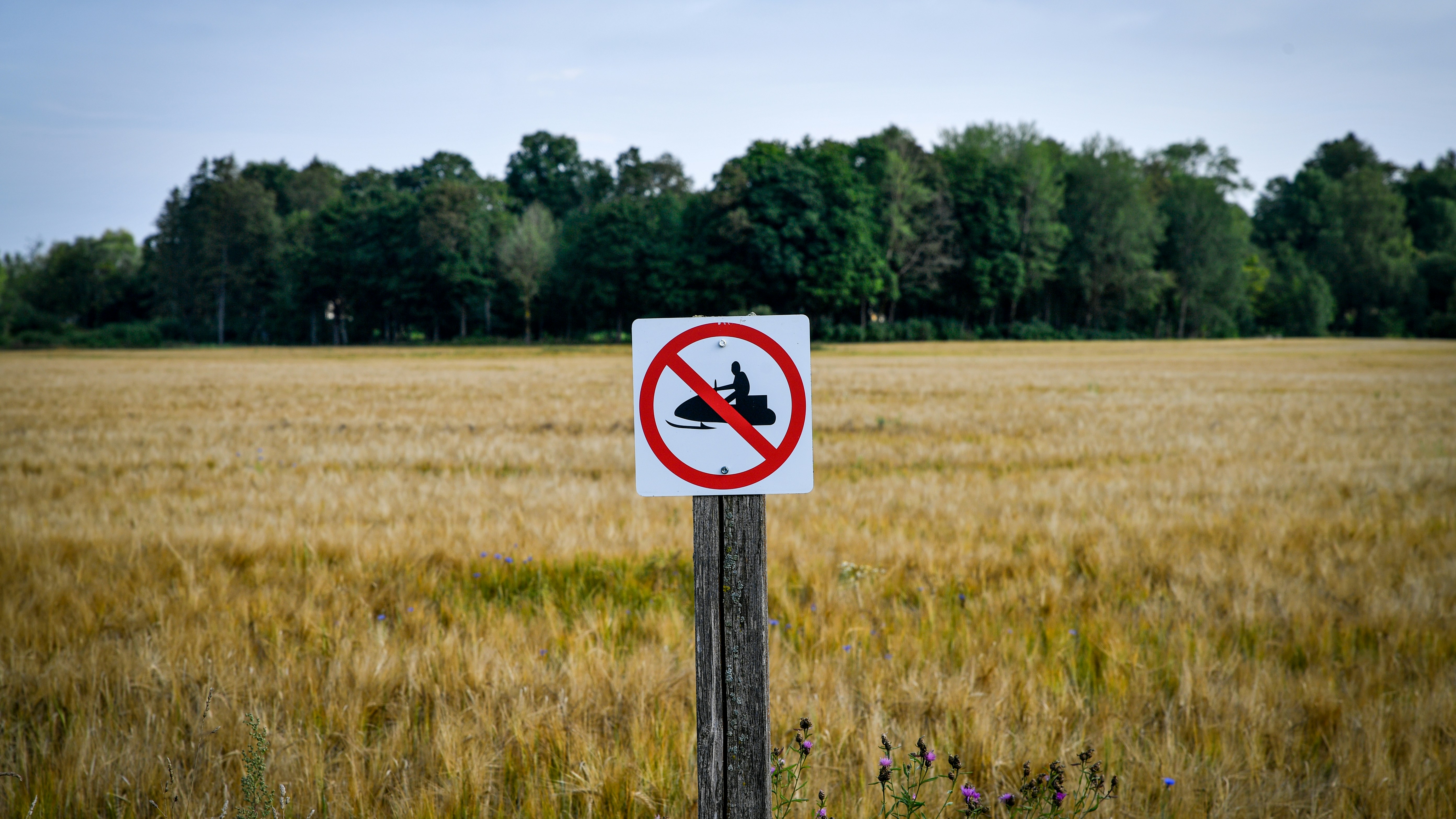 Photo by Margo Evardson on Unsplash