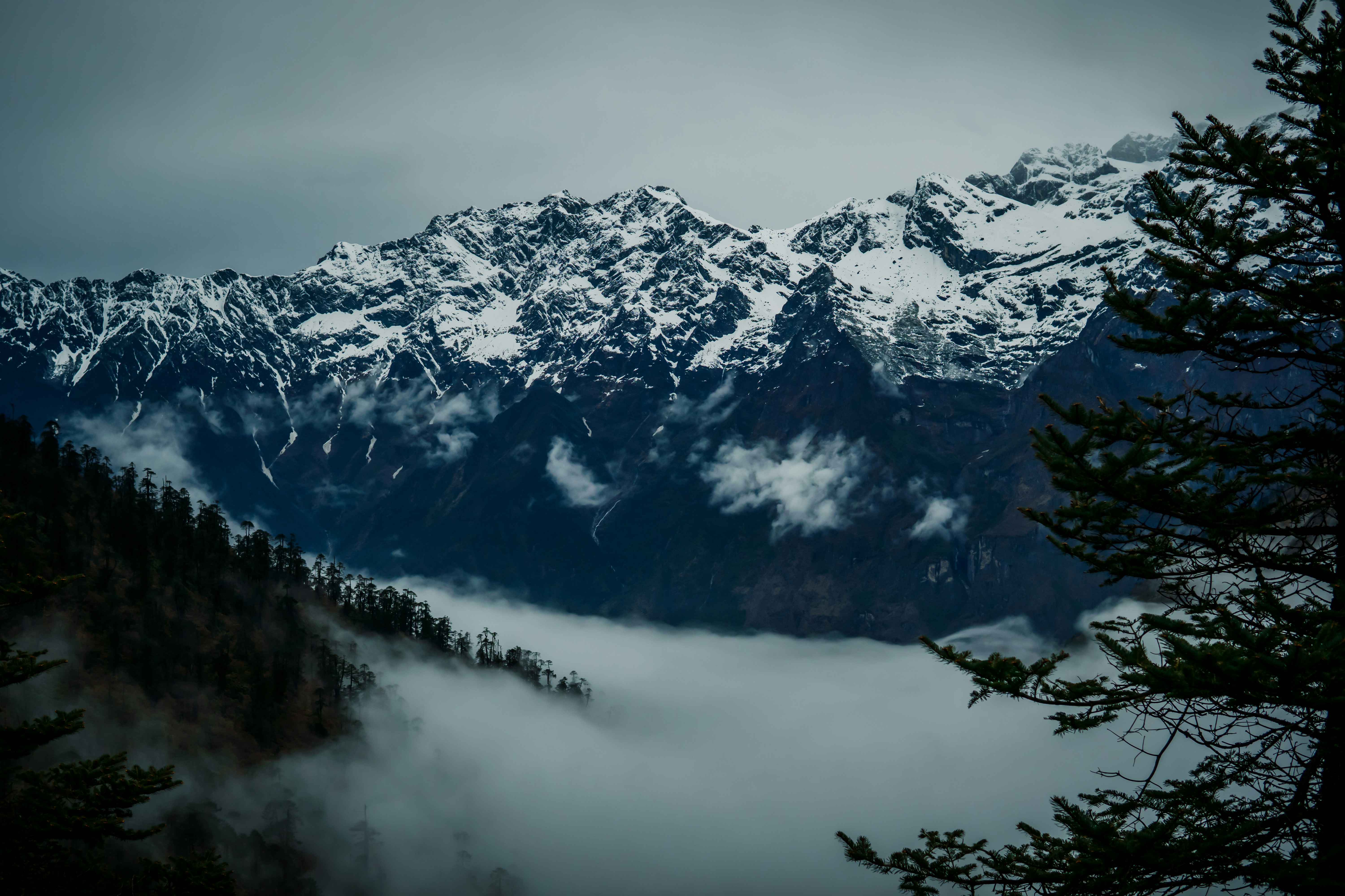 Photo by lazyartistgallery
