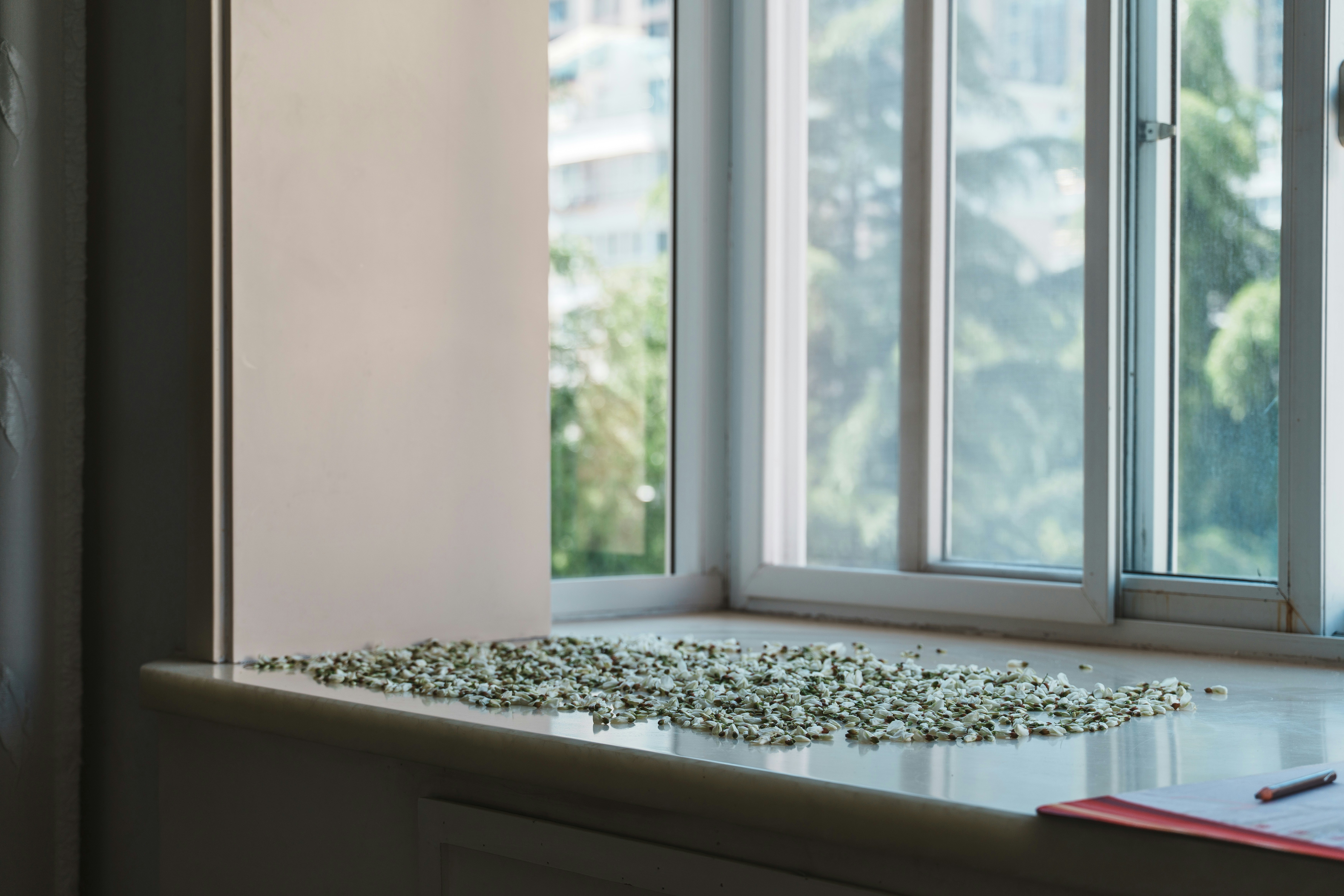 Green objects on a window sill overlooking trees and buildings.