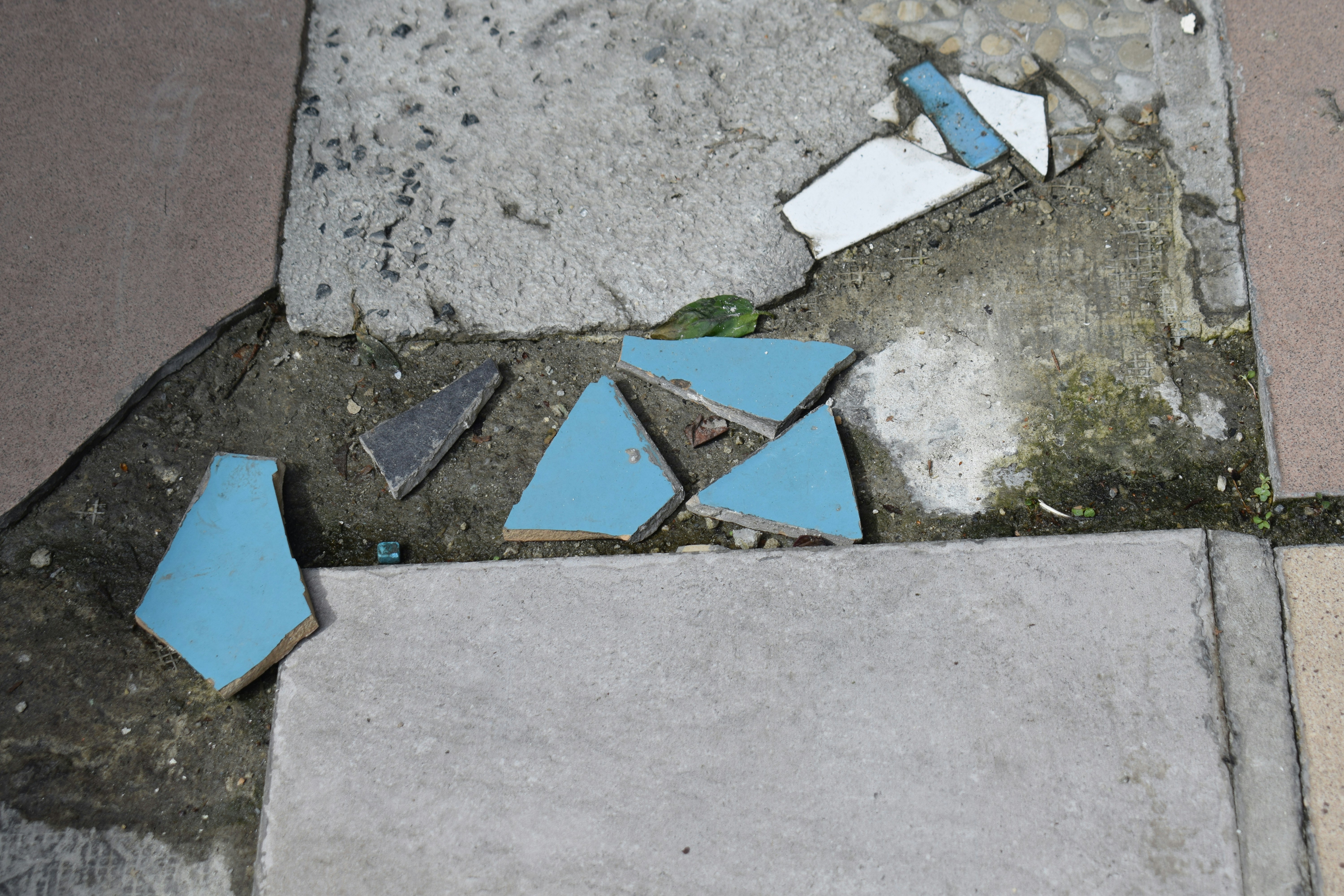 damaged shingles