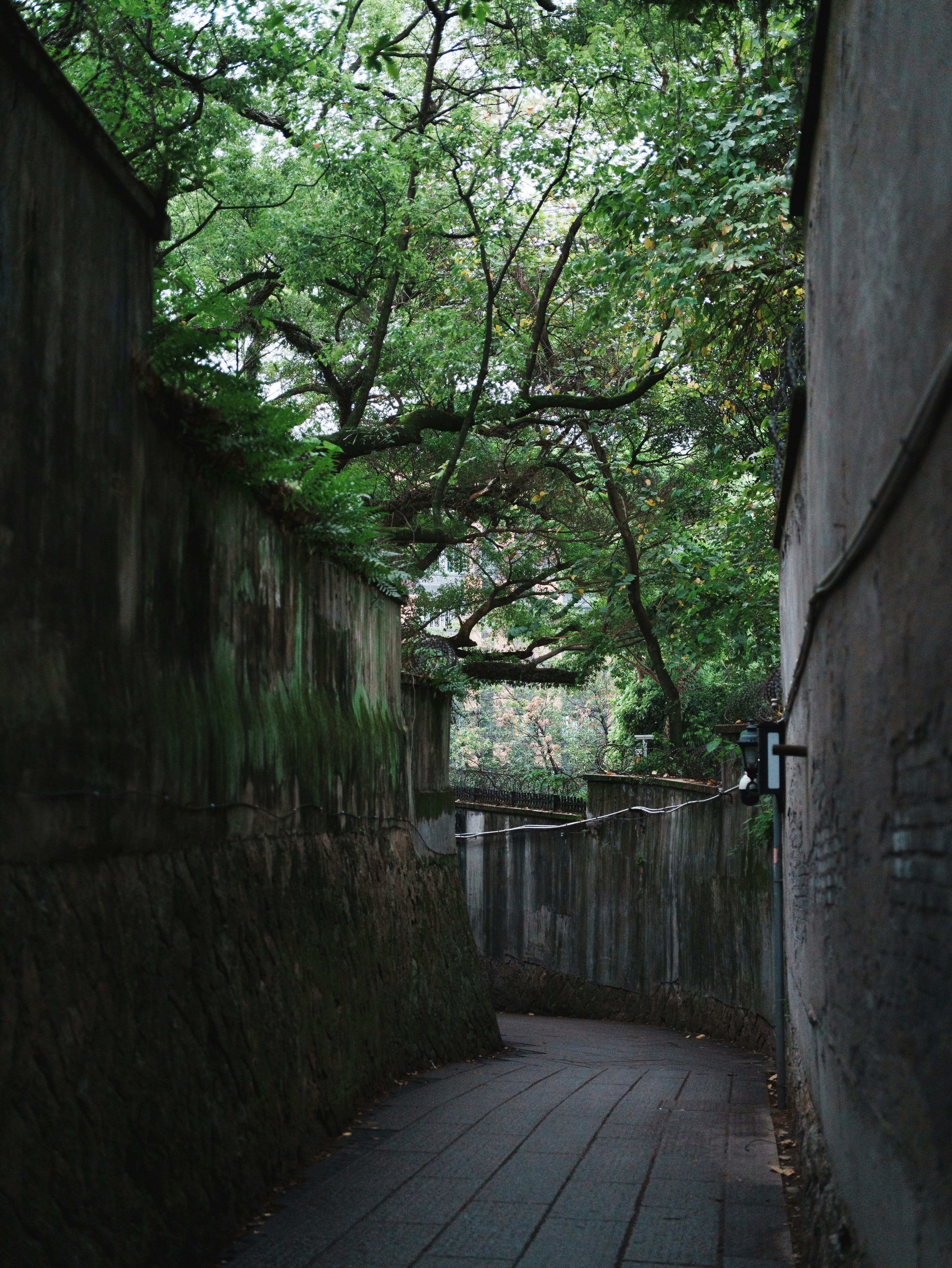 Photo by ethannn929