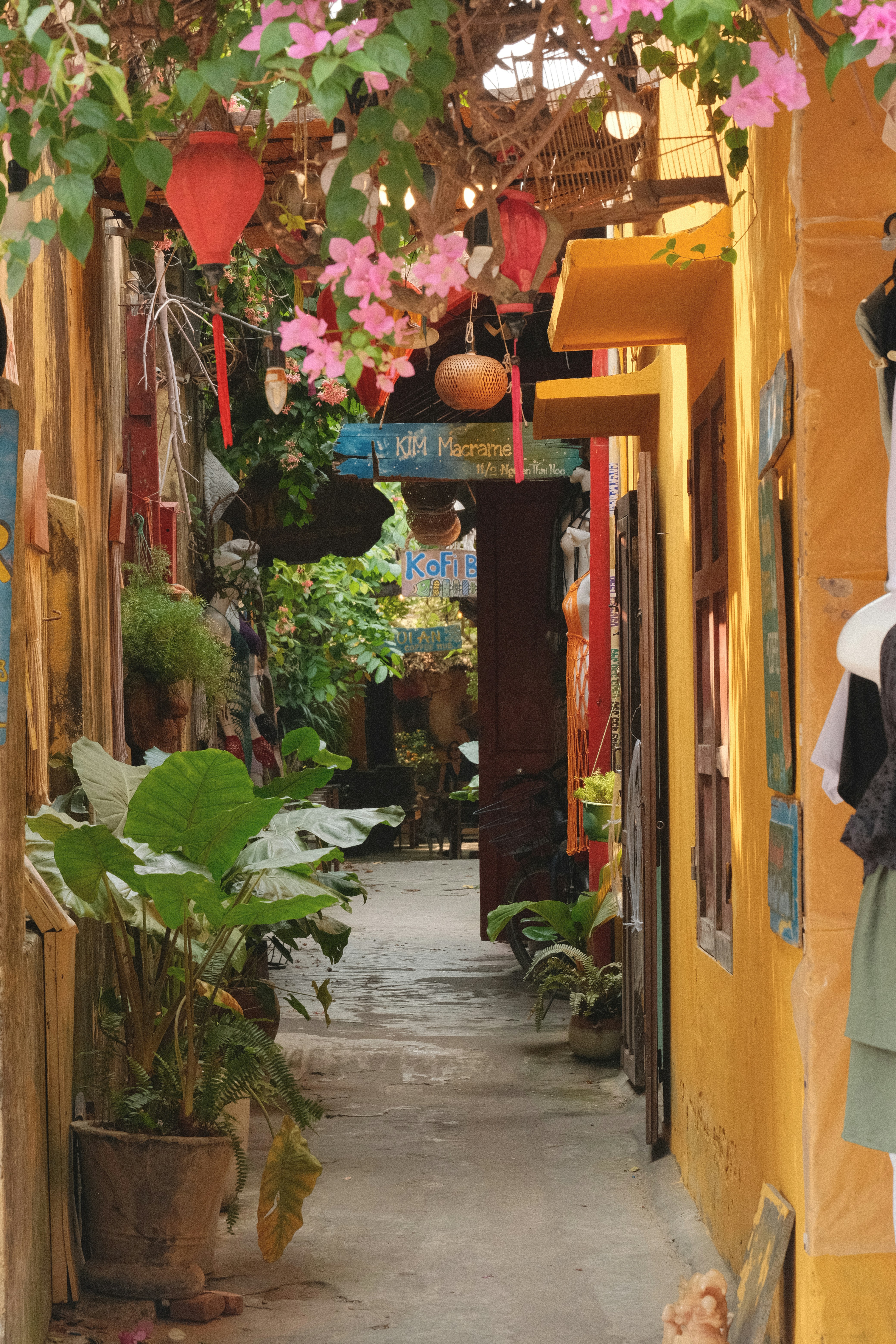 Narrow alleyway with plants and colorful buildings.