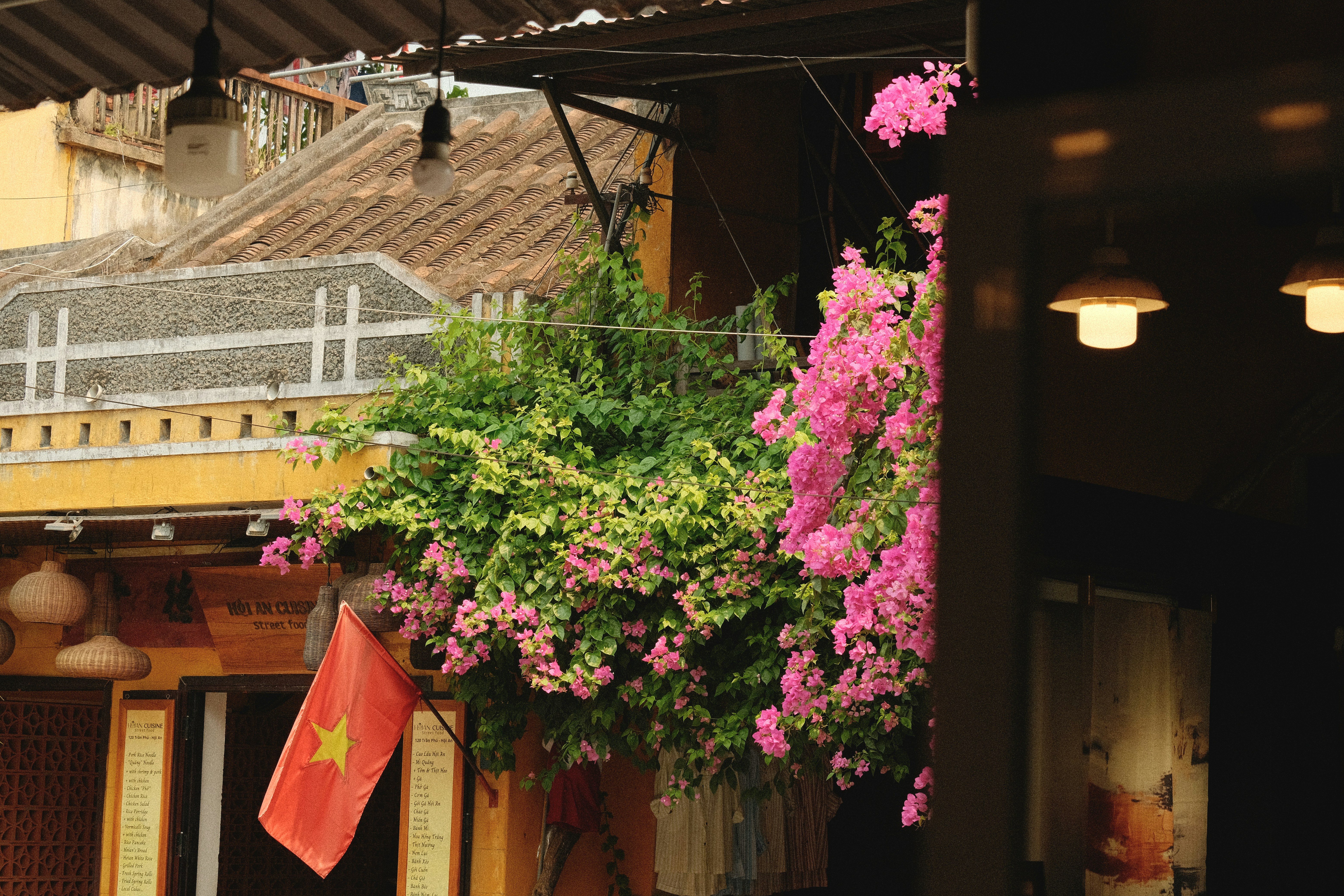 Pink flowers and vietnamese flag on building