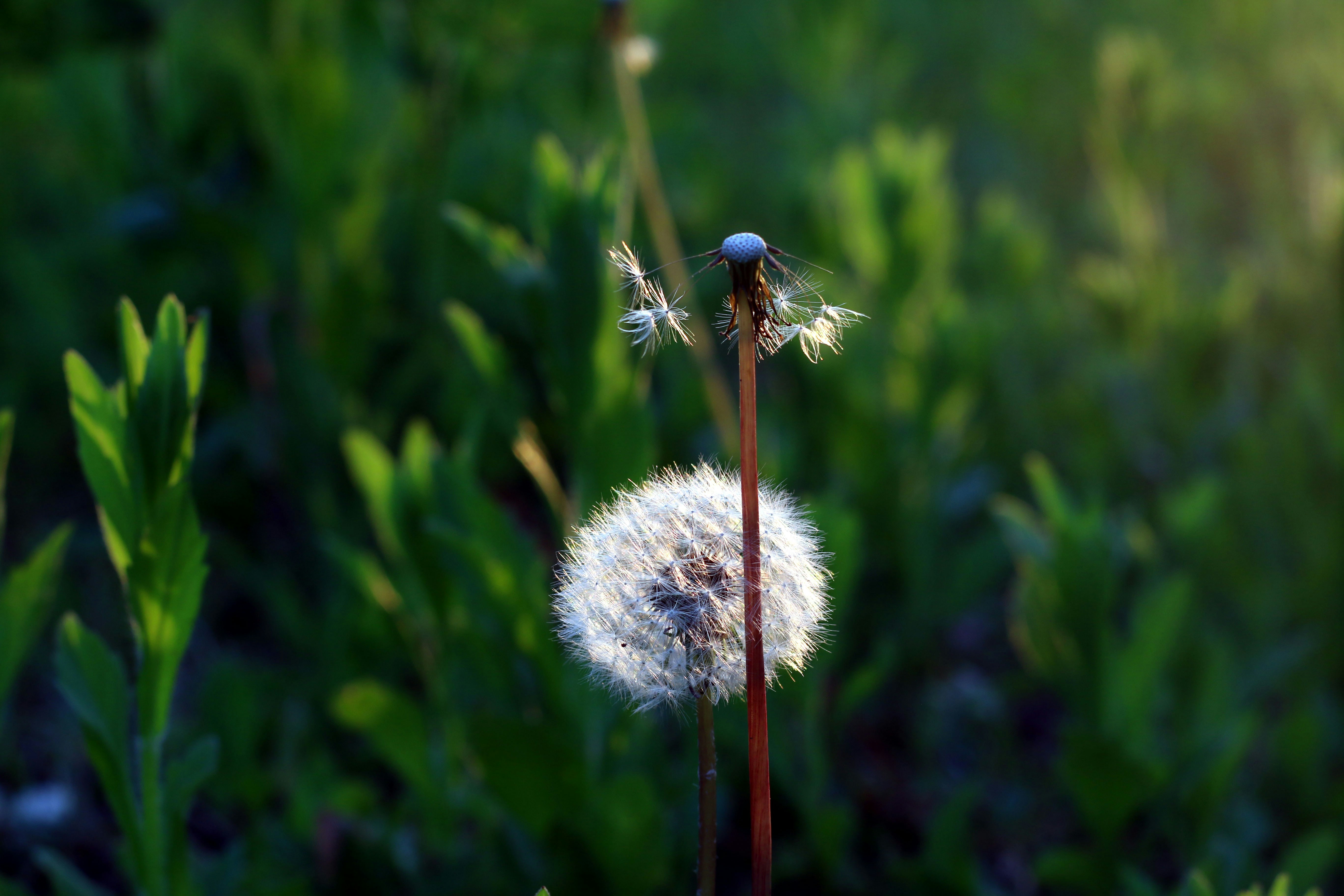 Photo by chulho