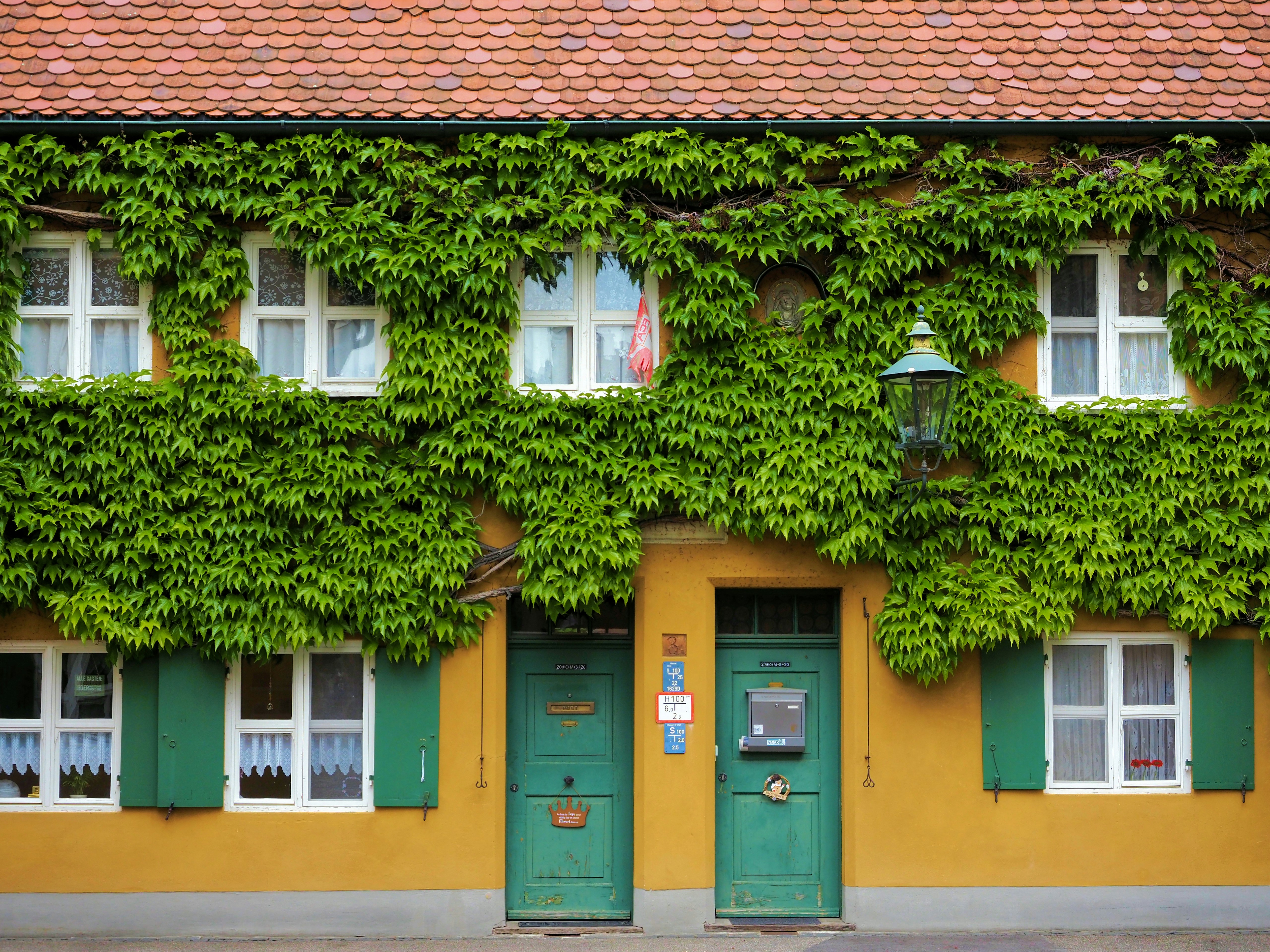 Yellow building facade covered in green ivy with two doors.
