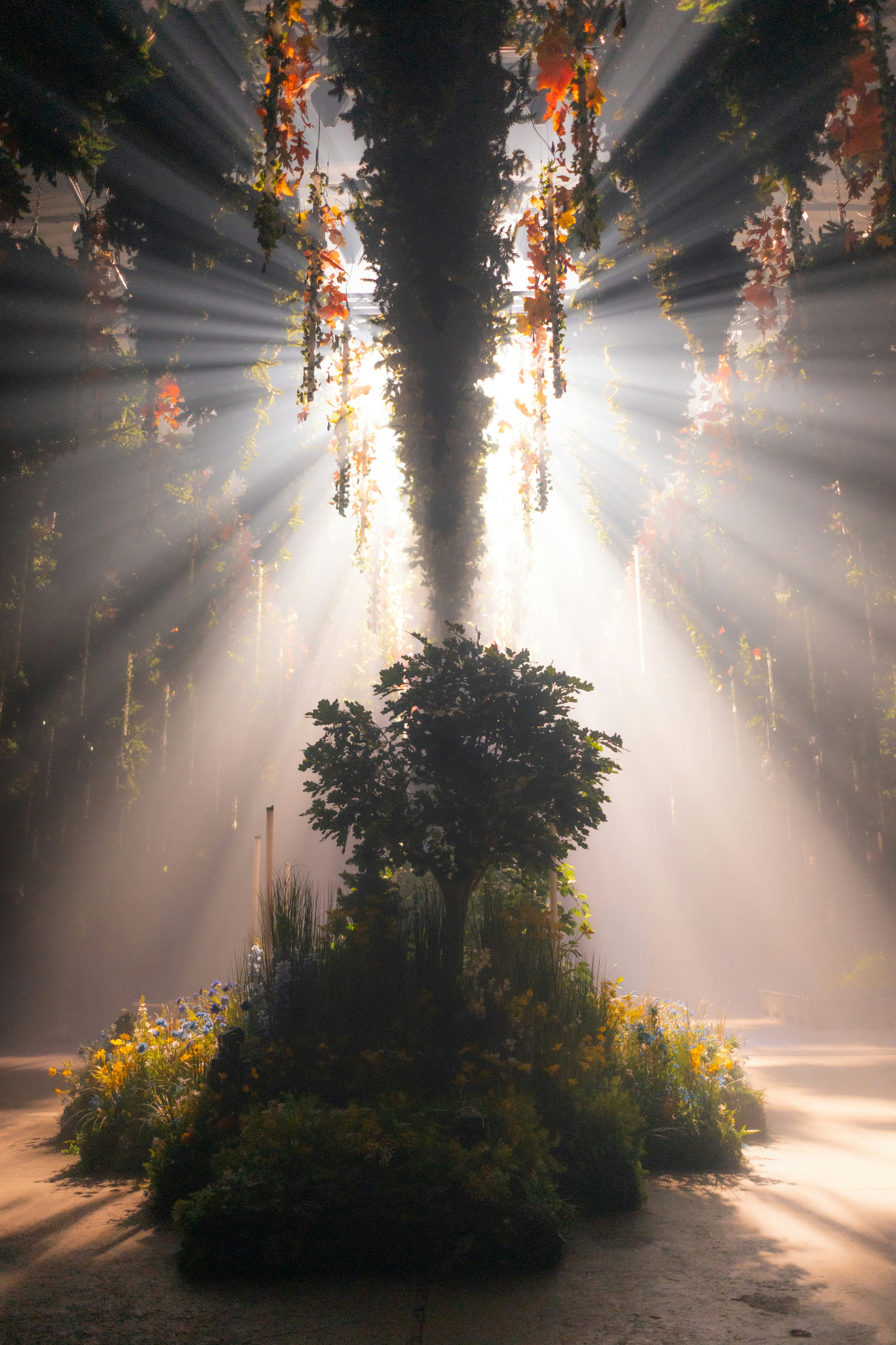Mystical sun rays illuminate a tree on a flowery mound.