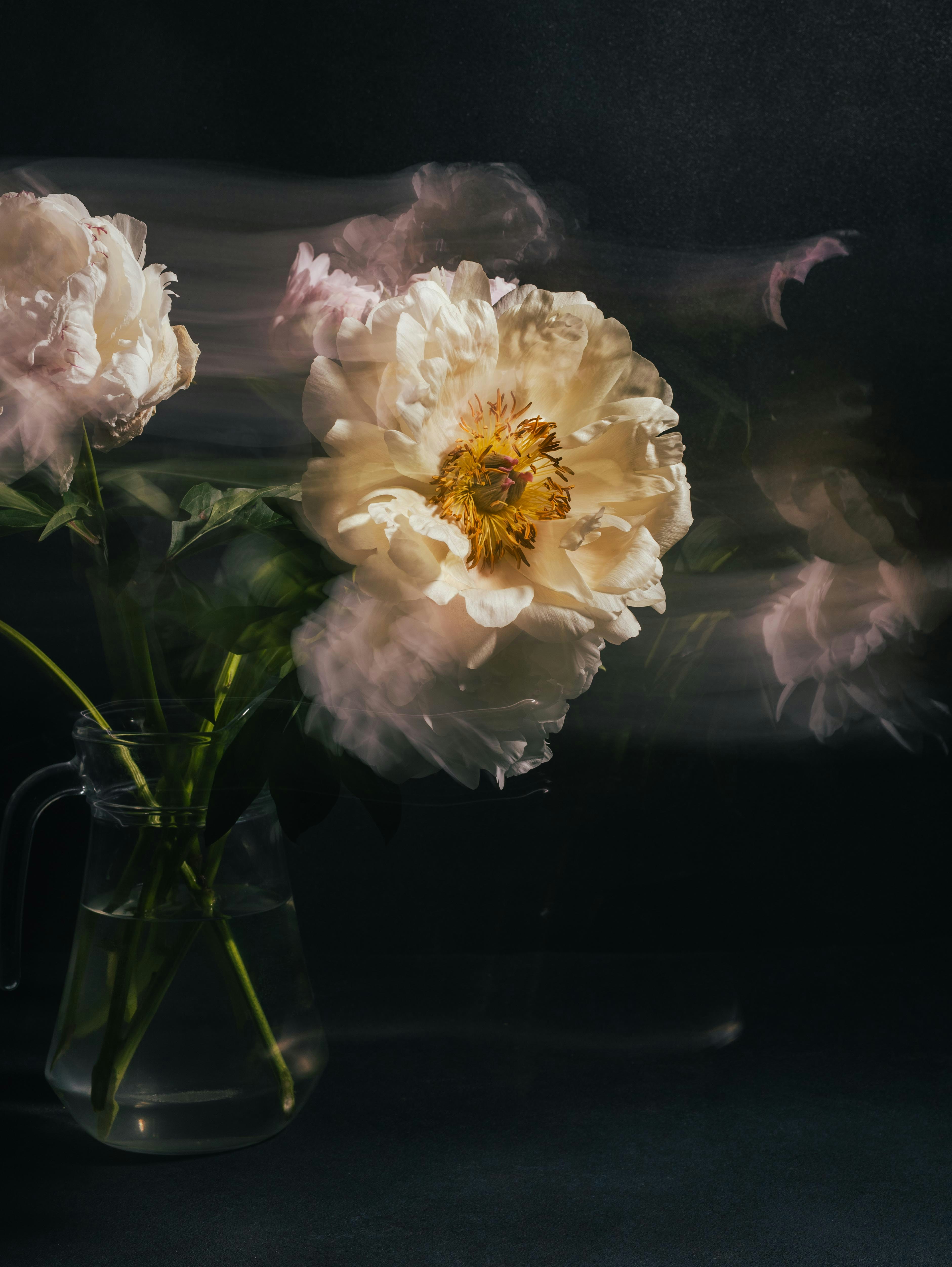 Photo by jusfilm