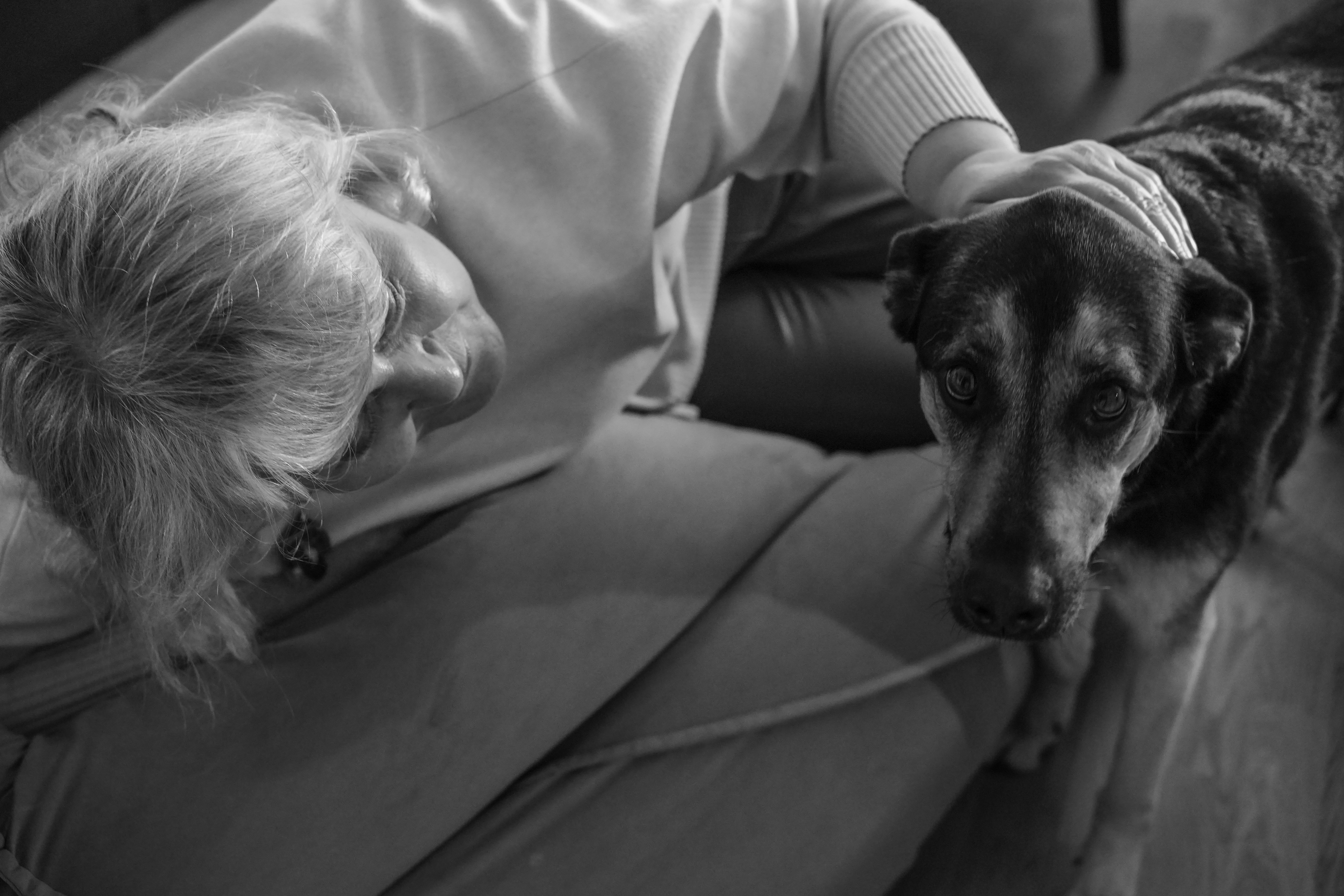 Woman petting an old dog on a couch