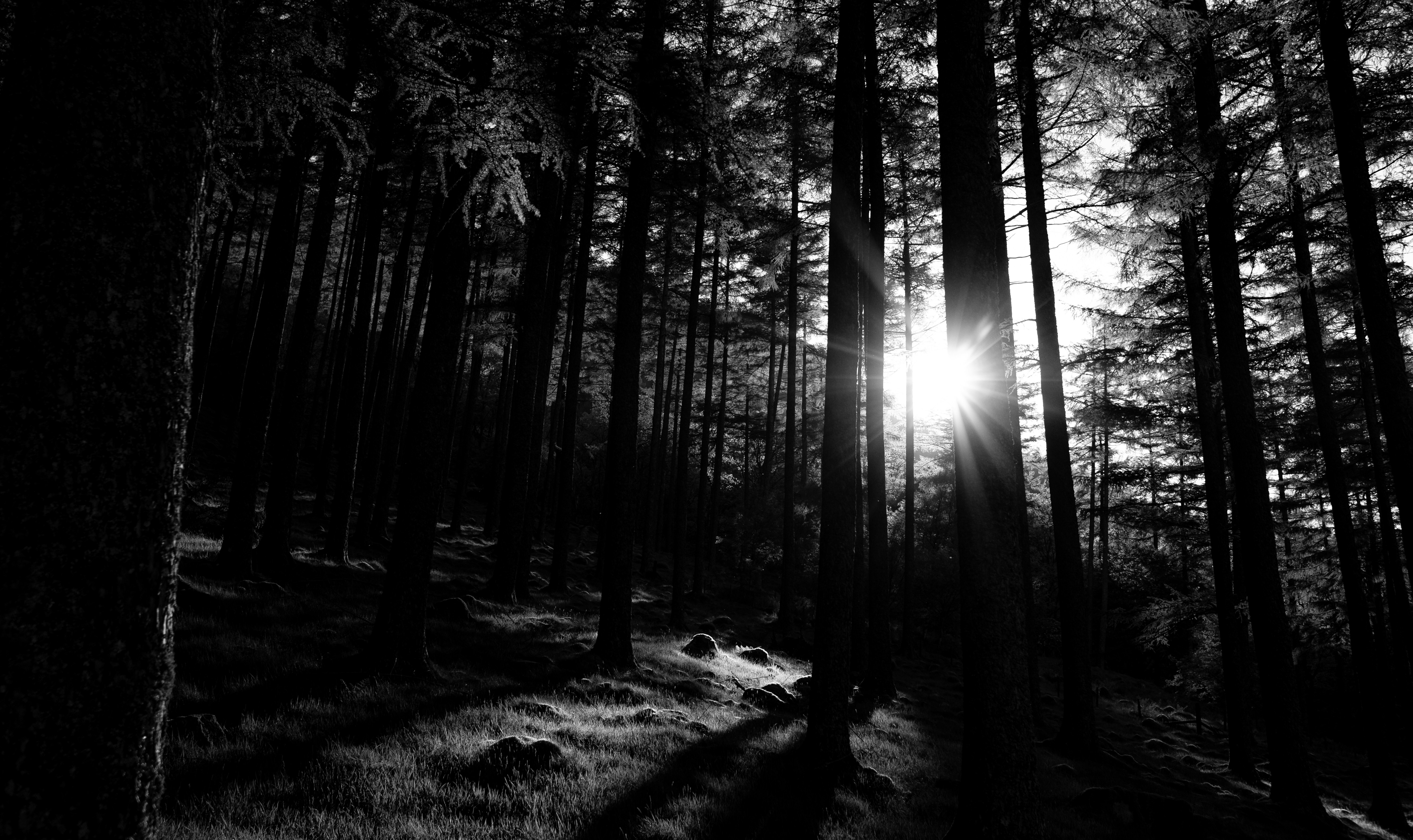 Photo by felixmul44