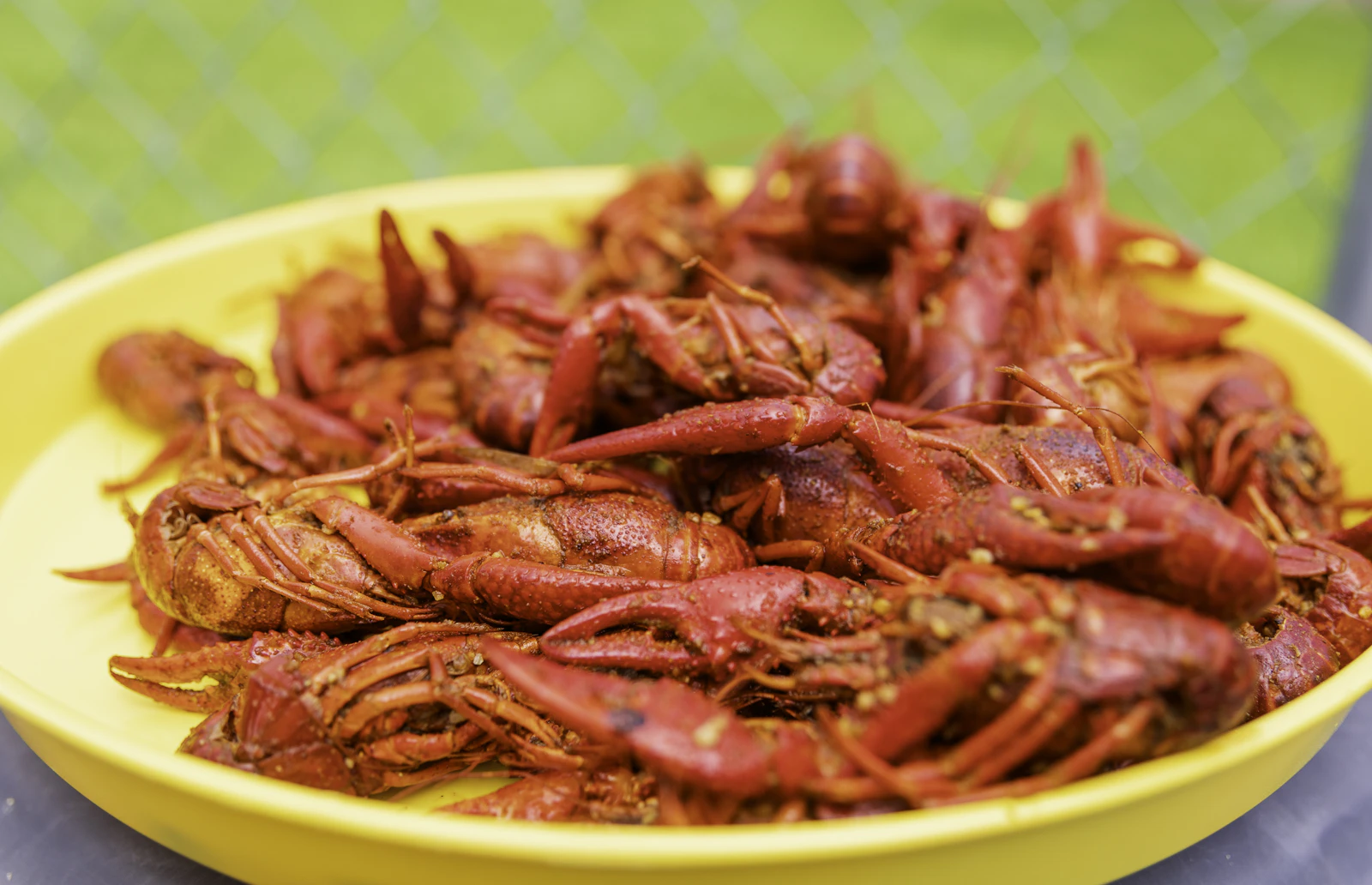 A bright tray of boiled crawfish