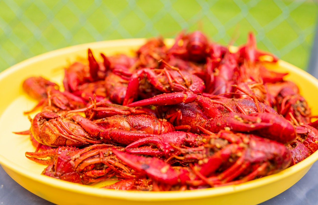 Illustrative photo — a bowl of Louisiana crawfish