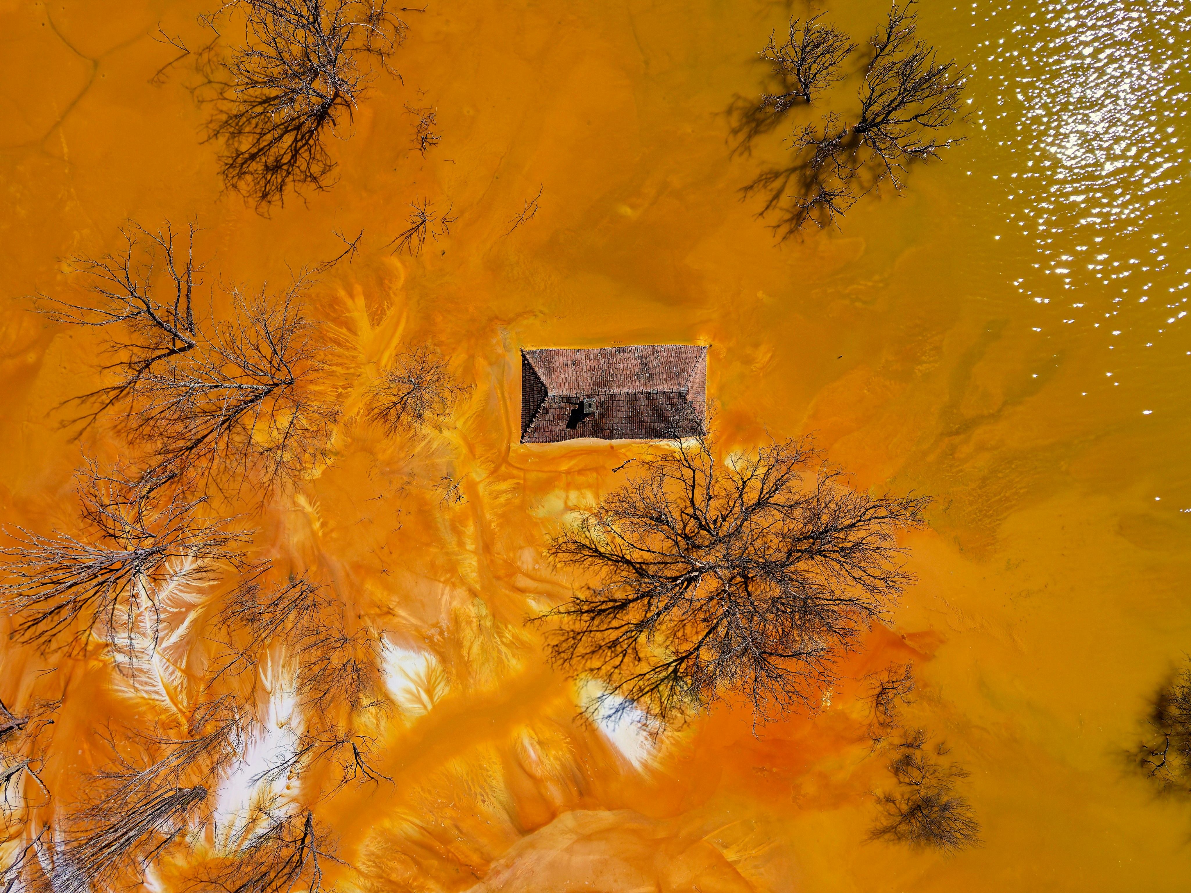House submerged in orange, polluted water with bare trees.