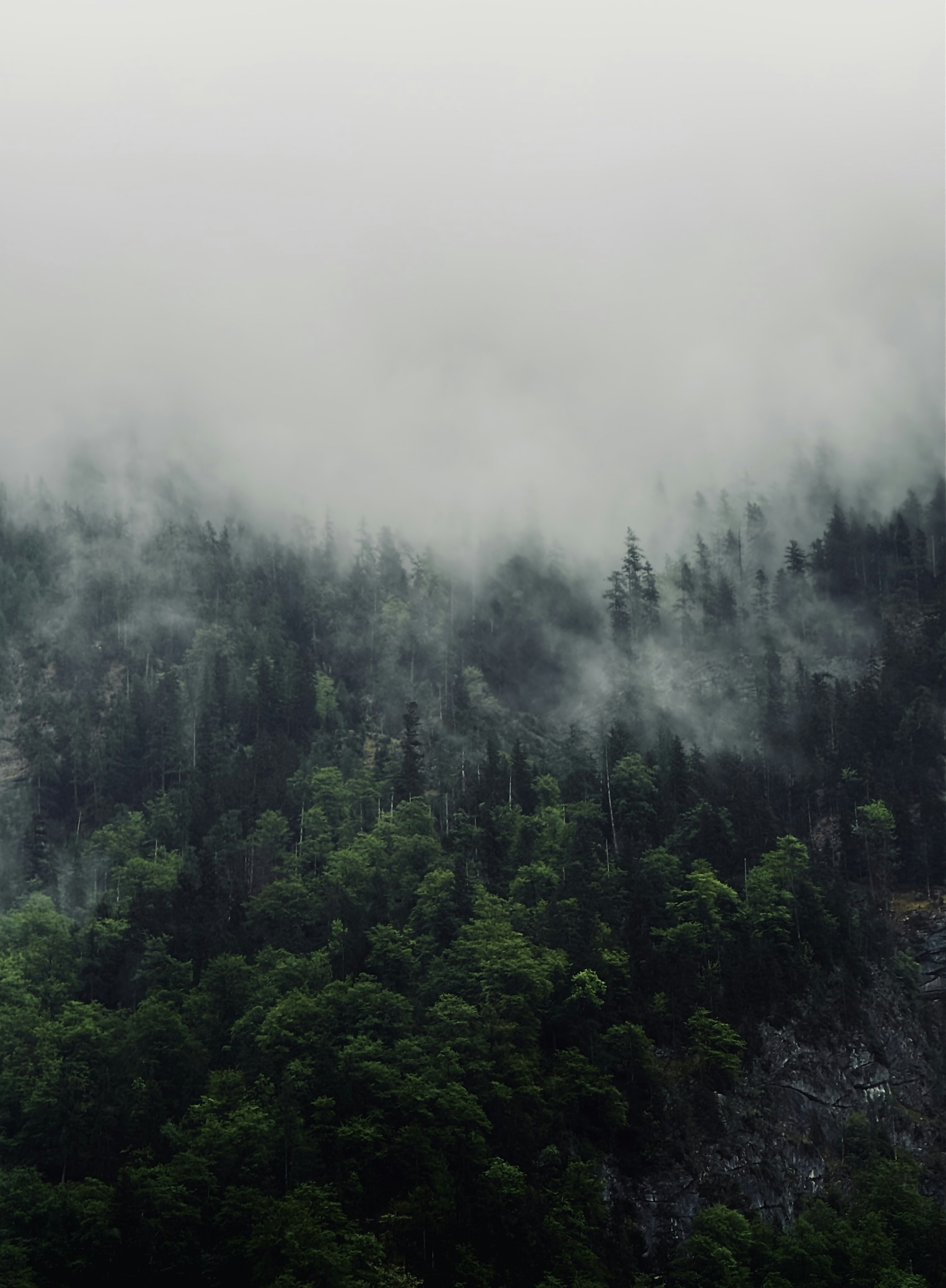 Photo by tlthiva