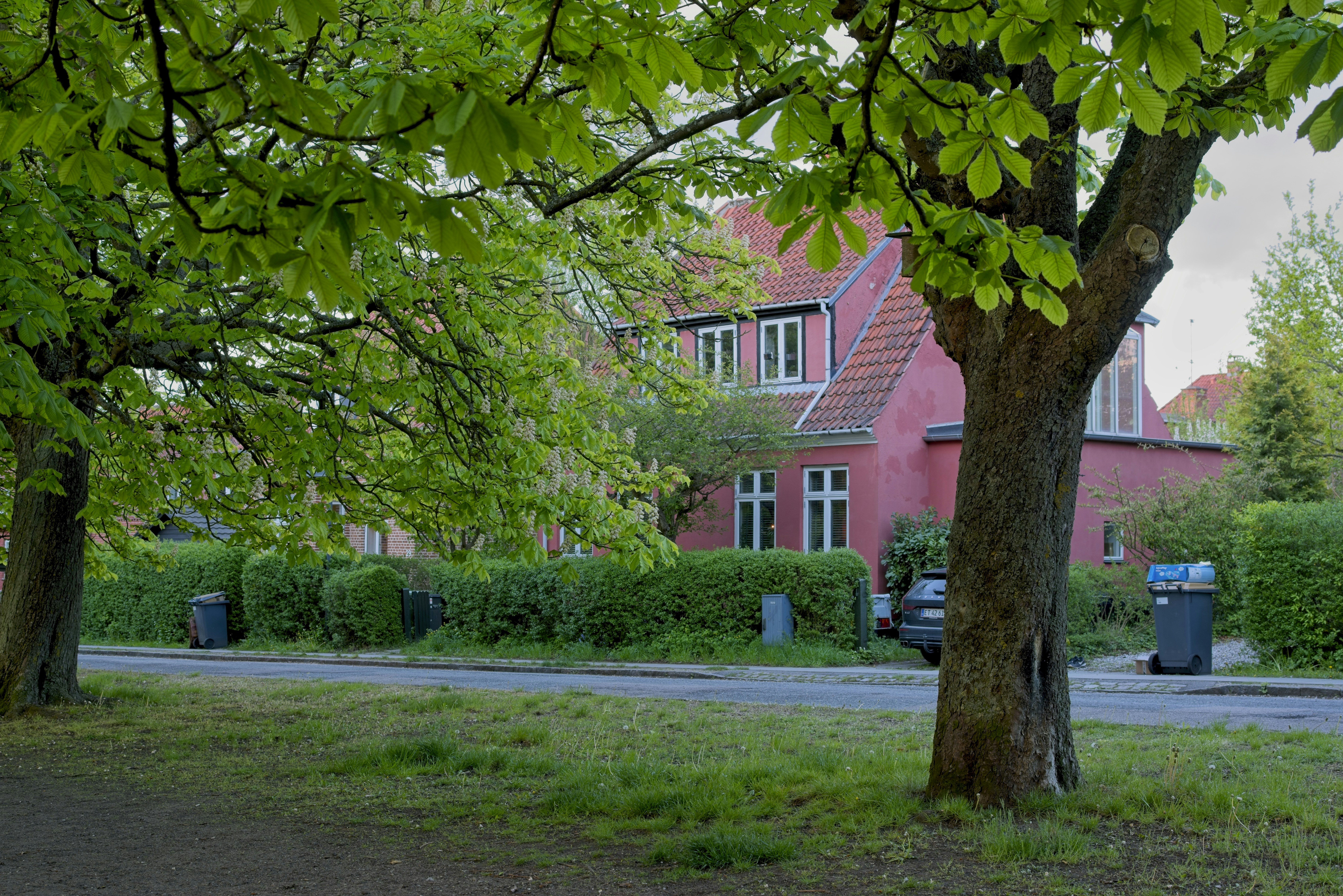 Photo by 3scph