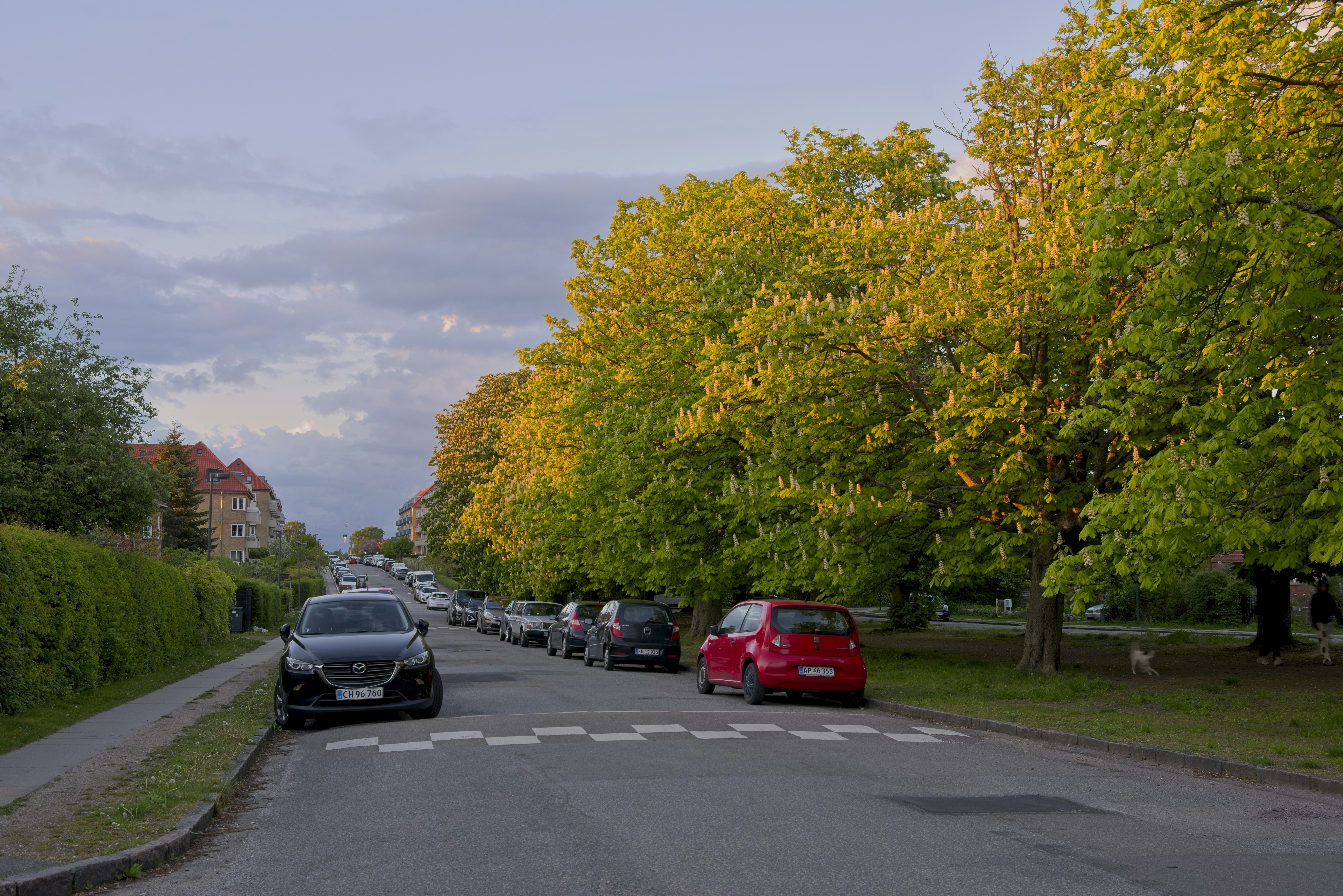 Photo by 3scph