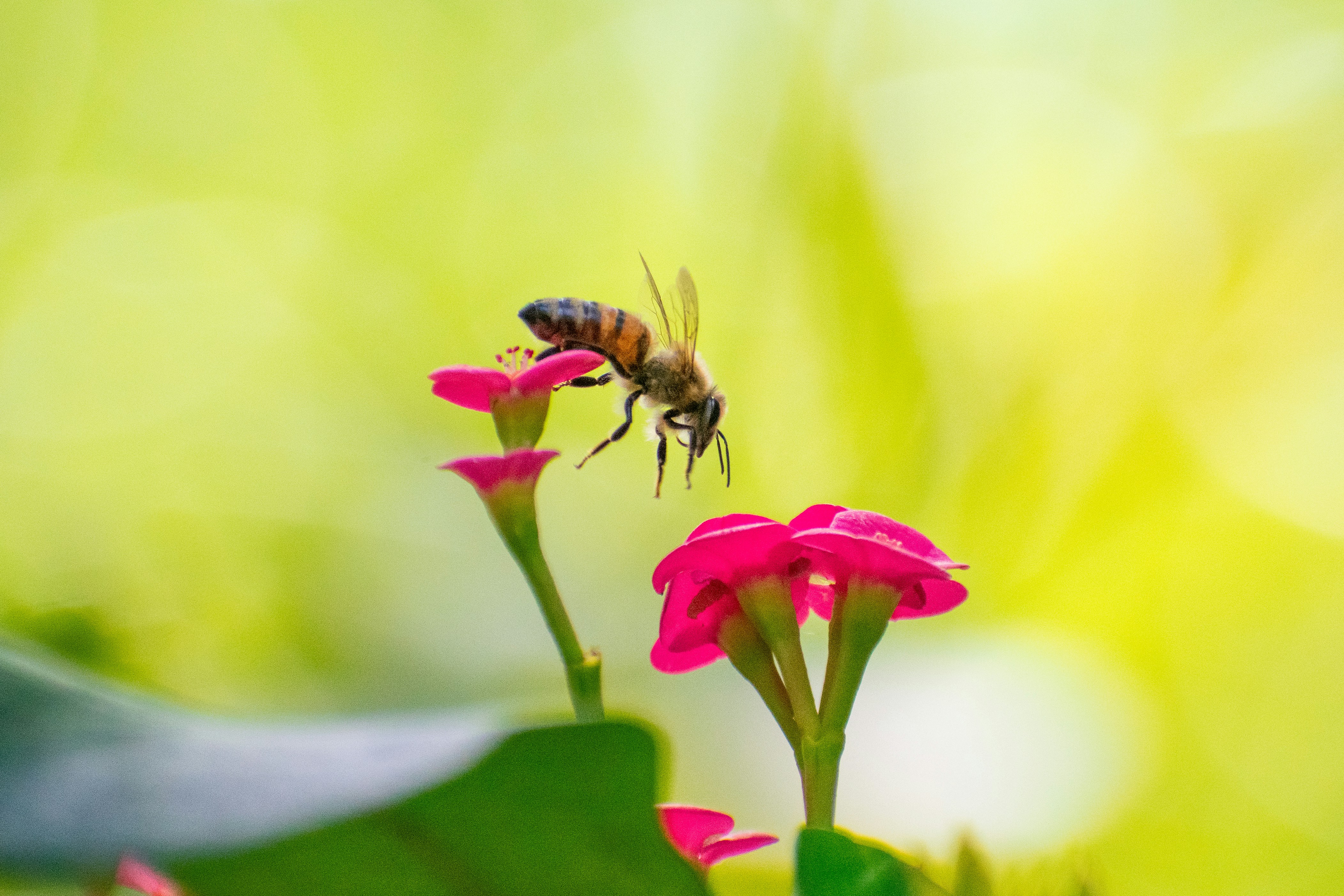 Photo by probablyrobin