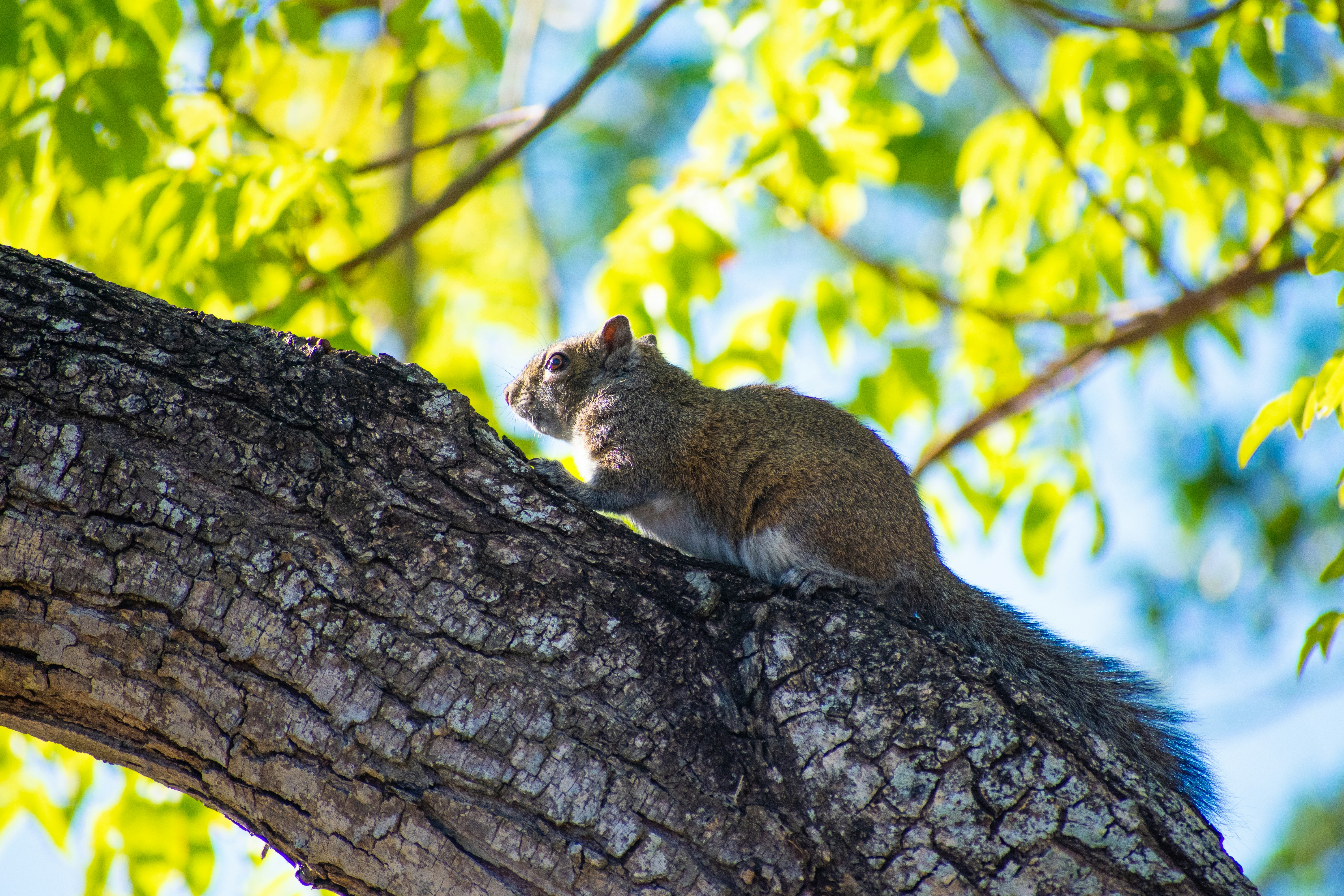 Photo by probablyrobin
