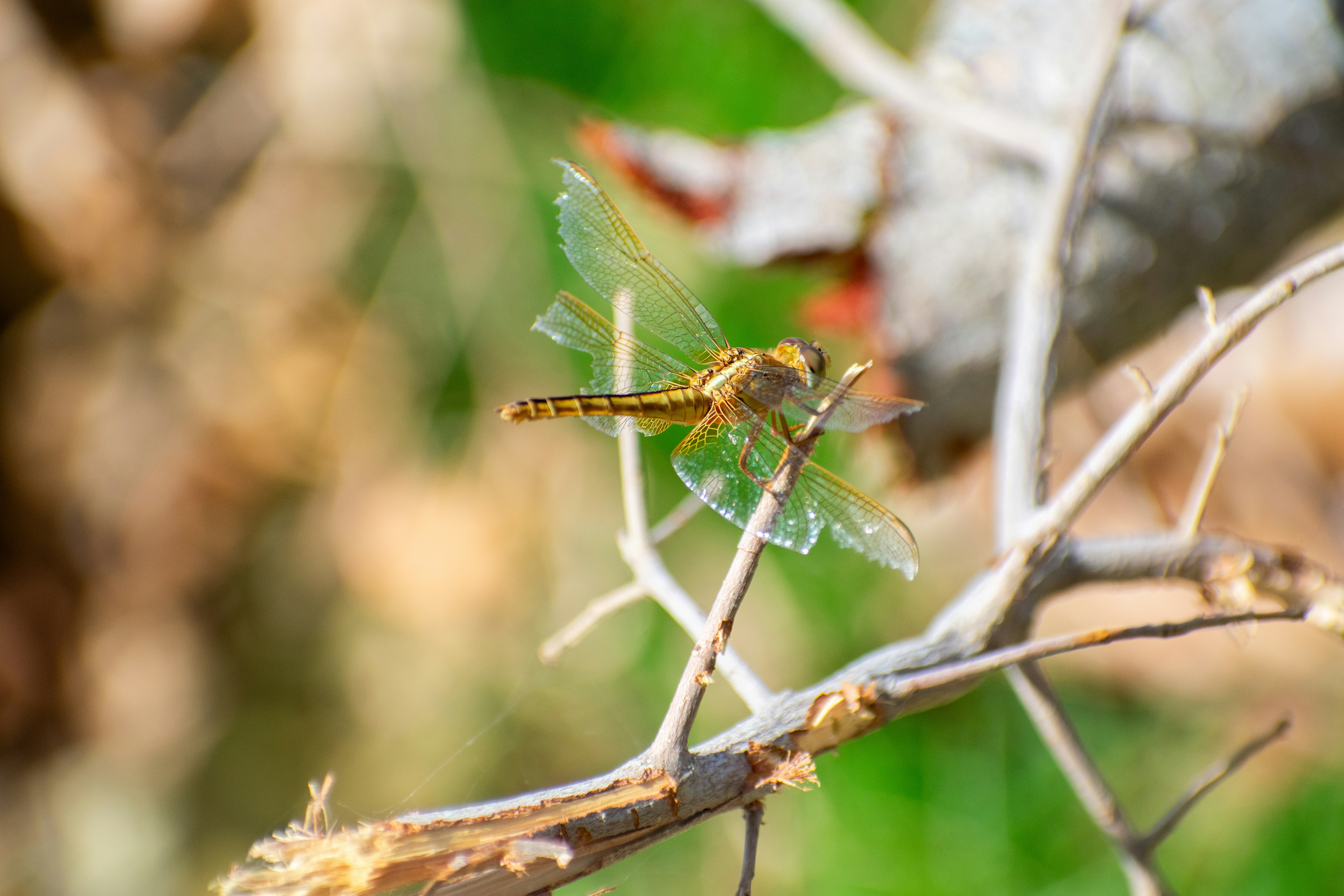 Photo by probablyrobin