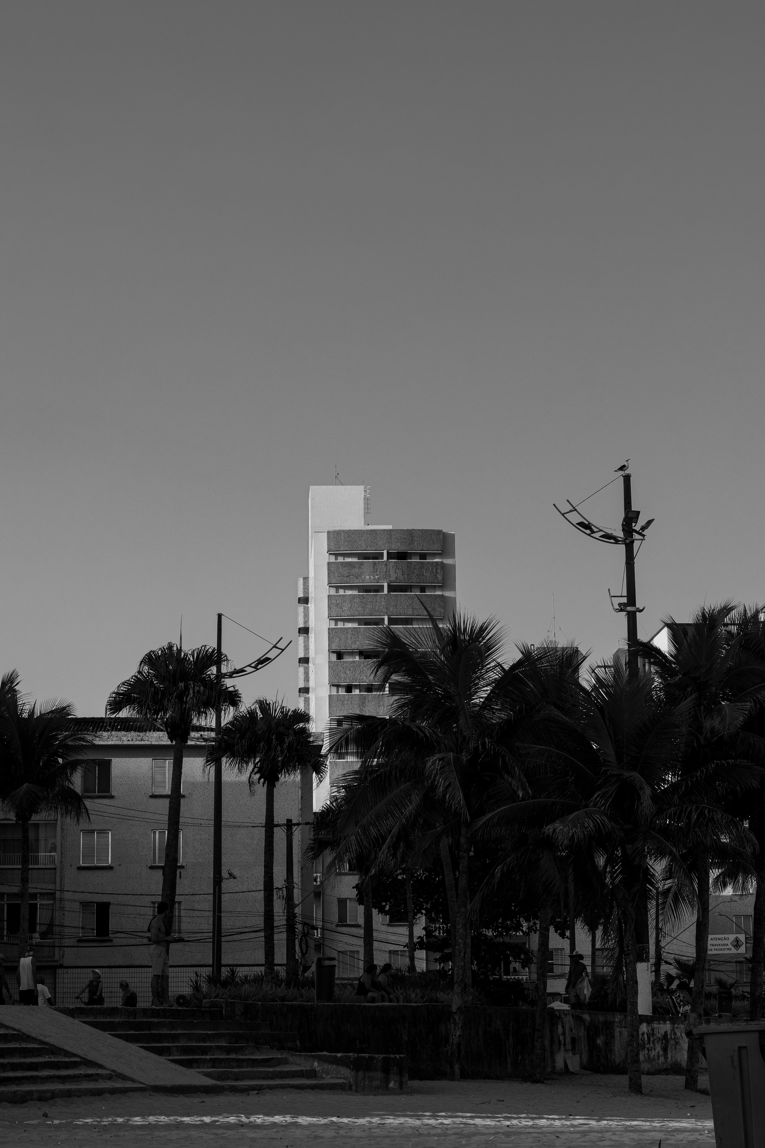 City buildings and palm trees under a clear sky